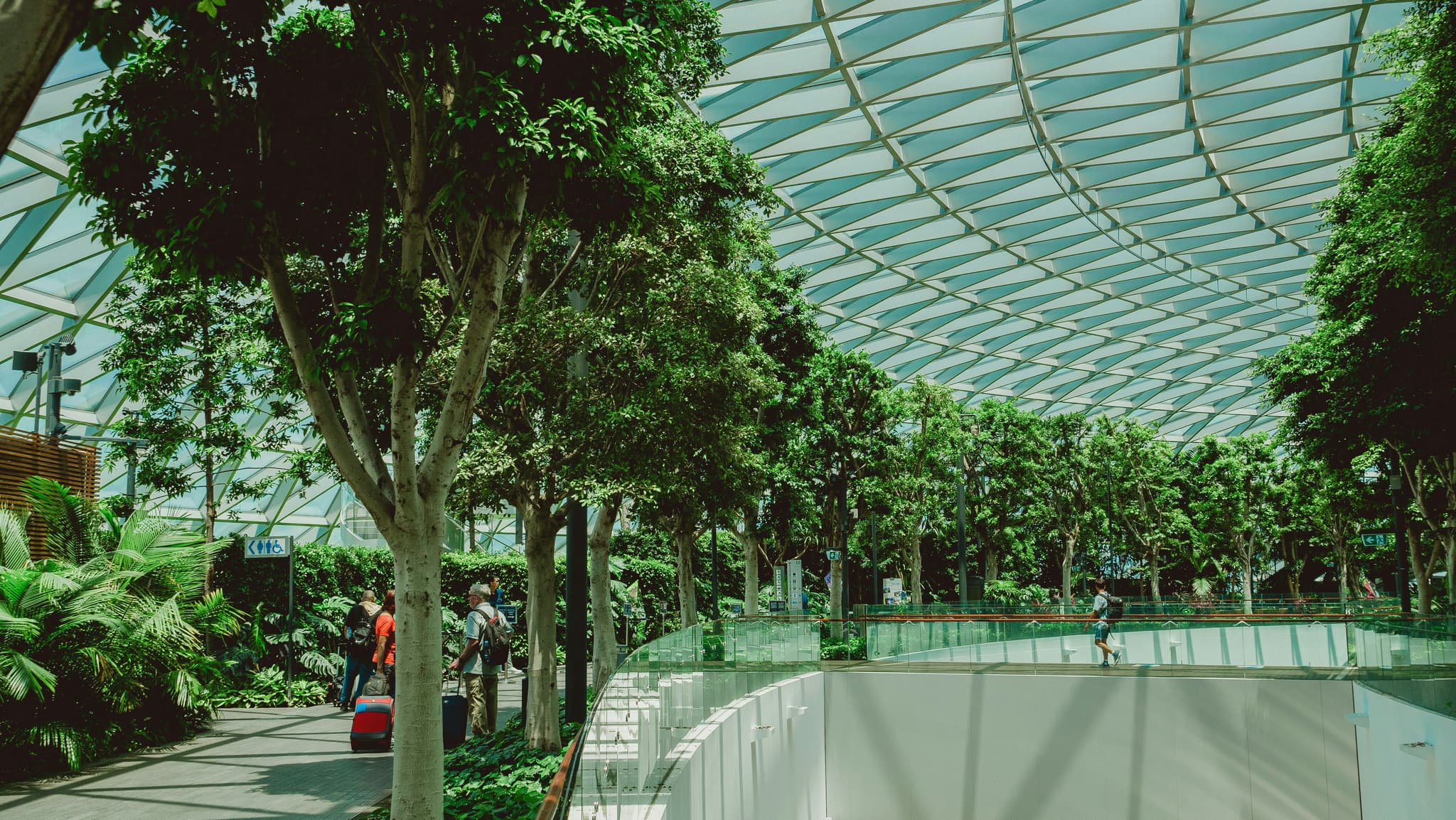 Green city