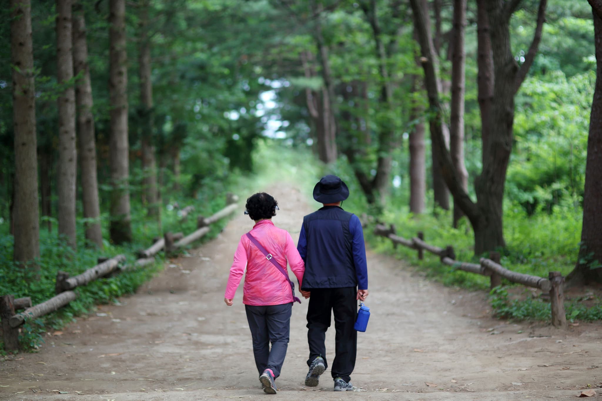 Elderly couple walking on a path between trees in Nami Island
