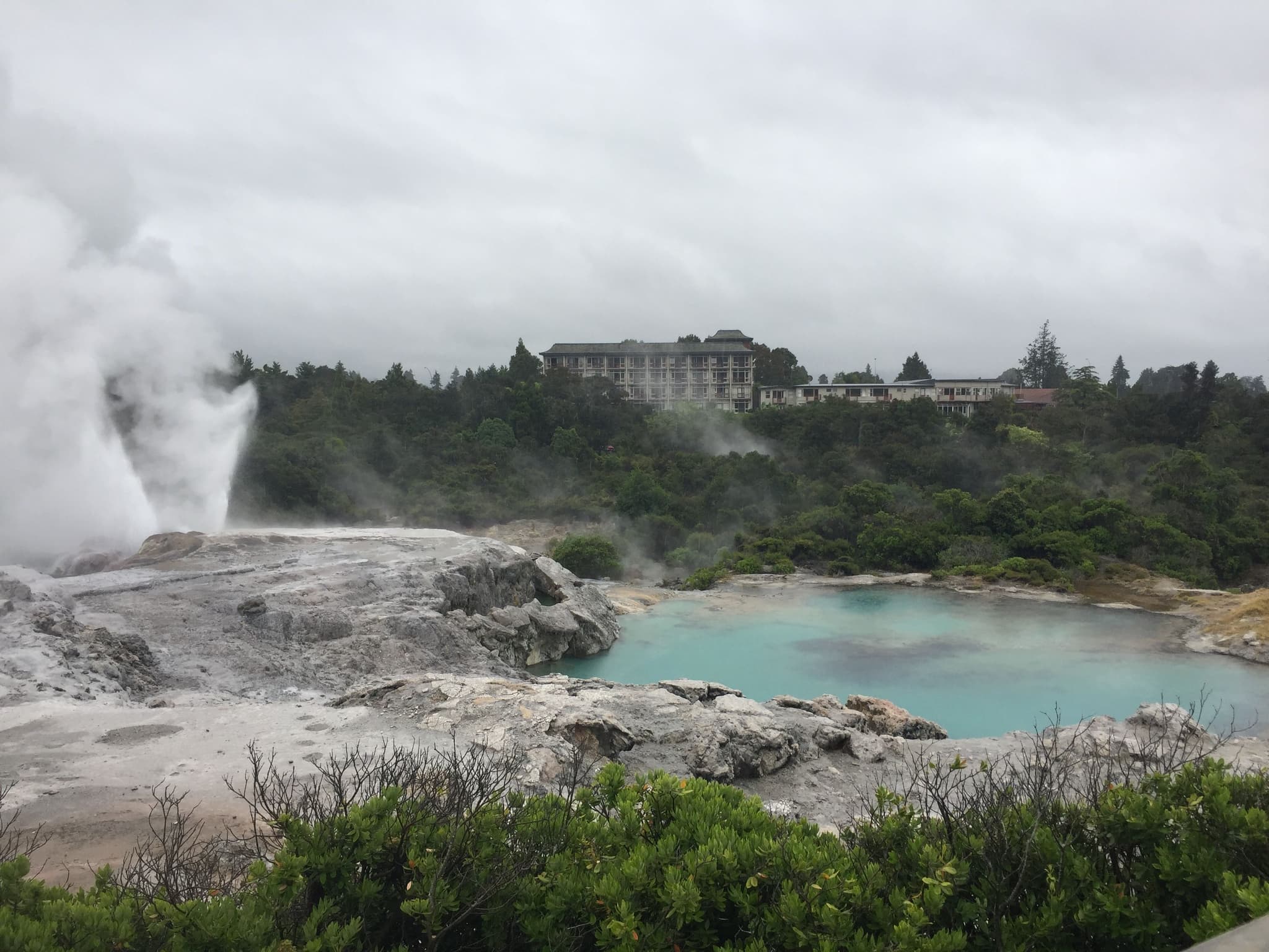 Steamy hot springs with geothermal activity surrounded by rocks and trees in Rotorua