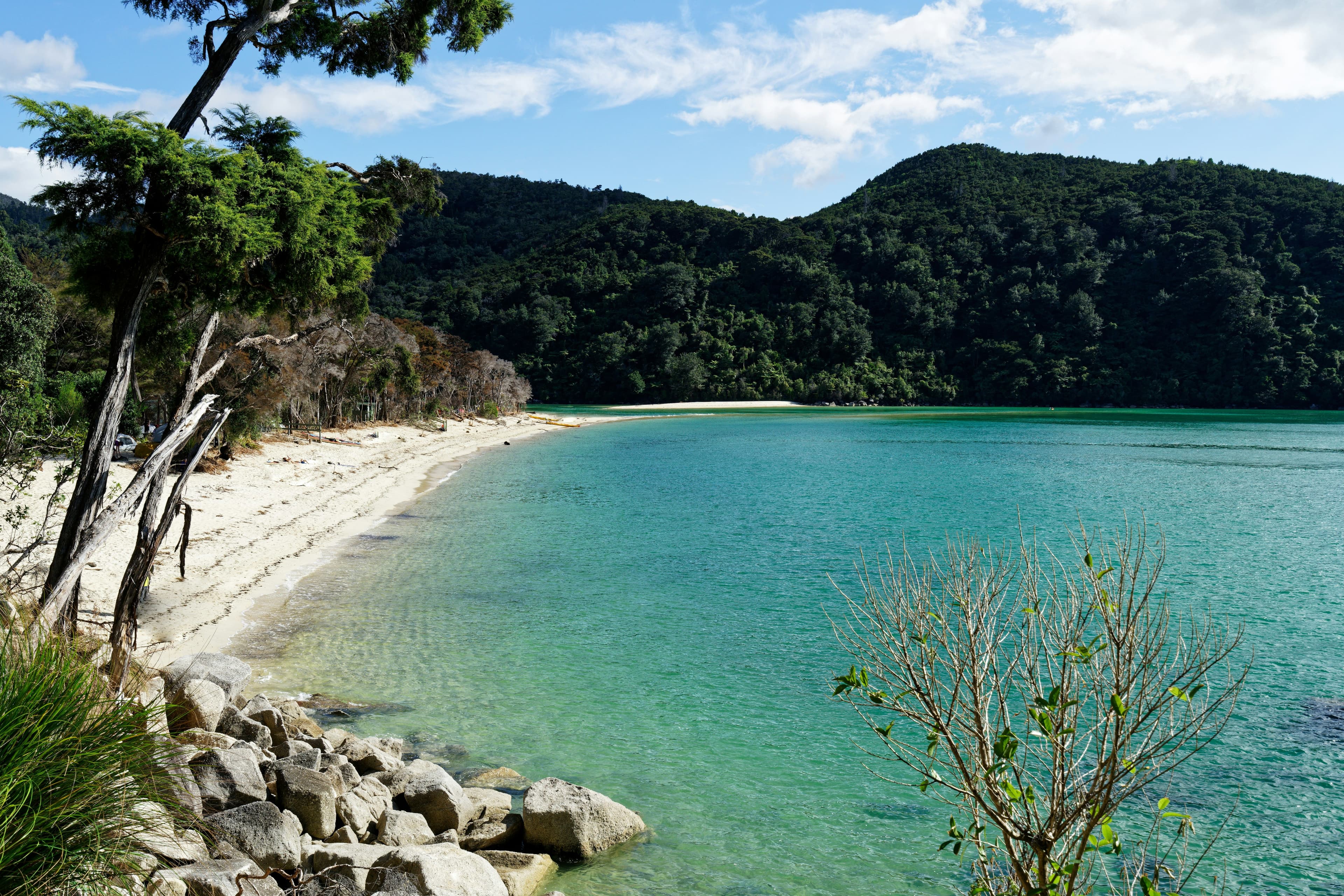 Abel Tasman National Park: An empty beach with turqoise water and mountains in the background
