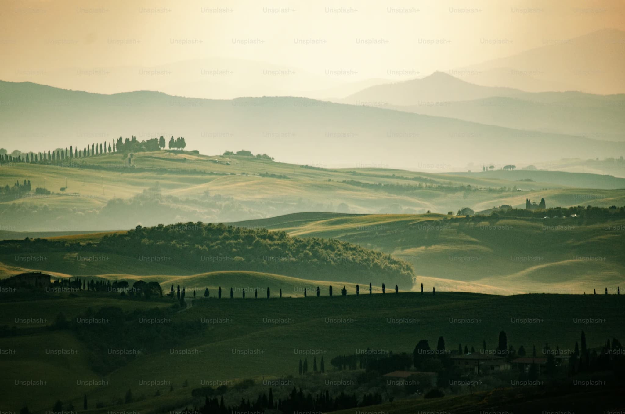 Rolling hills and patchwork fields stretch into the distance under a soft, hazy sky. Rows of trees create a serene, pastoral landscape.