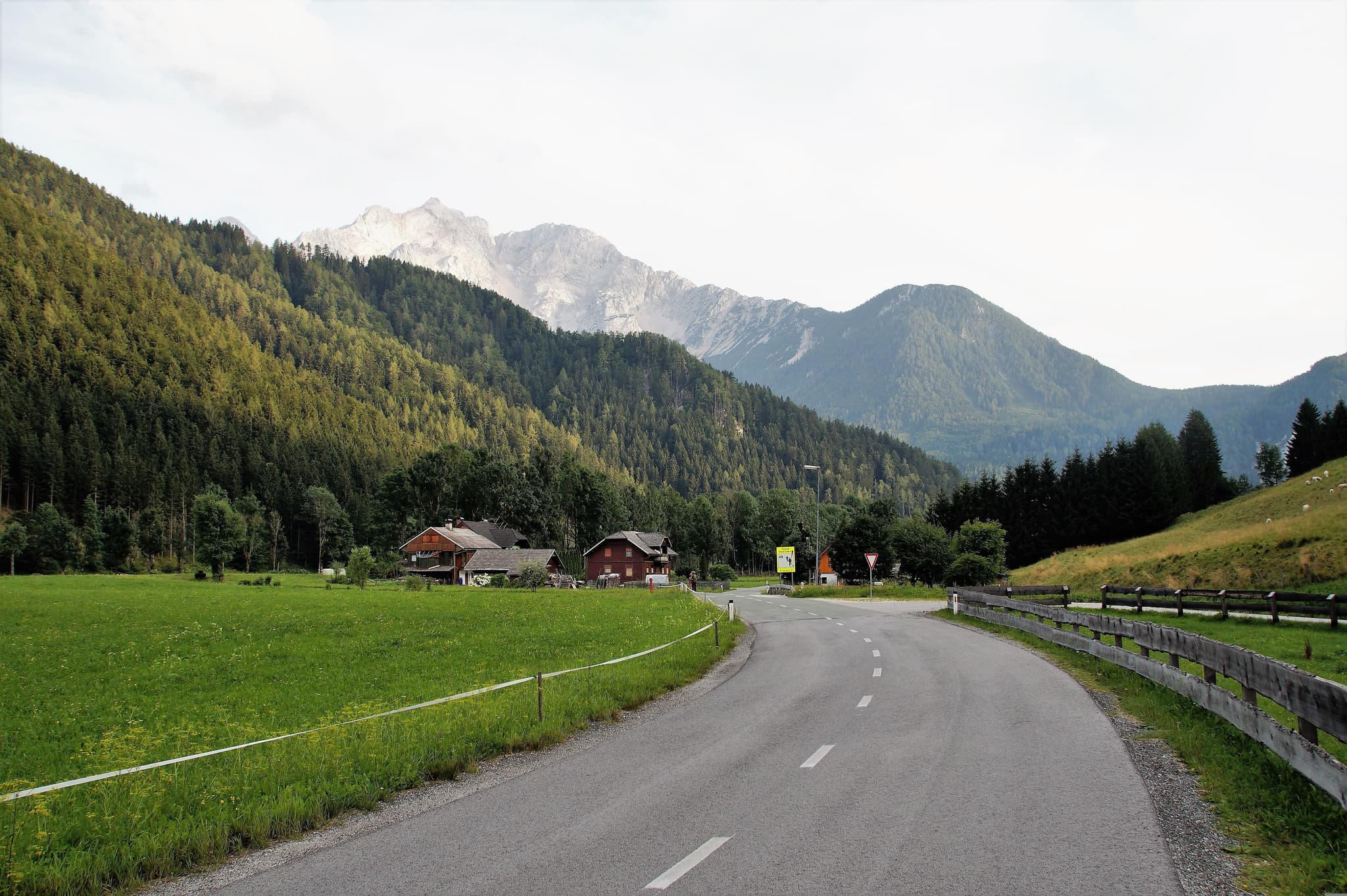 Car road crossing through green landscape and high mountains with trees.