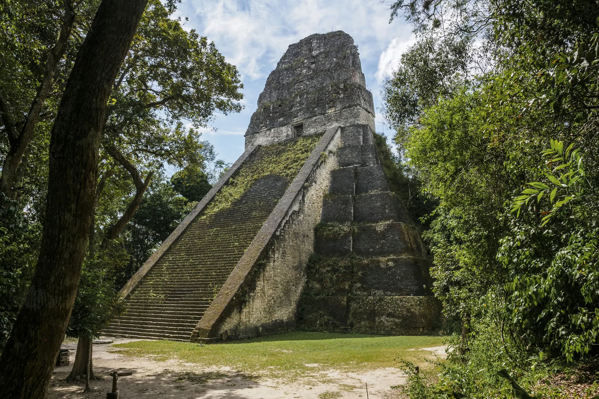Ancient Maya pyramid in a lush jungle, featuring steep stone steps and weathered surfaces. The scene is serene with shadows and dappled sunlight.