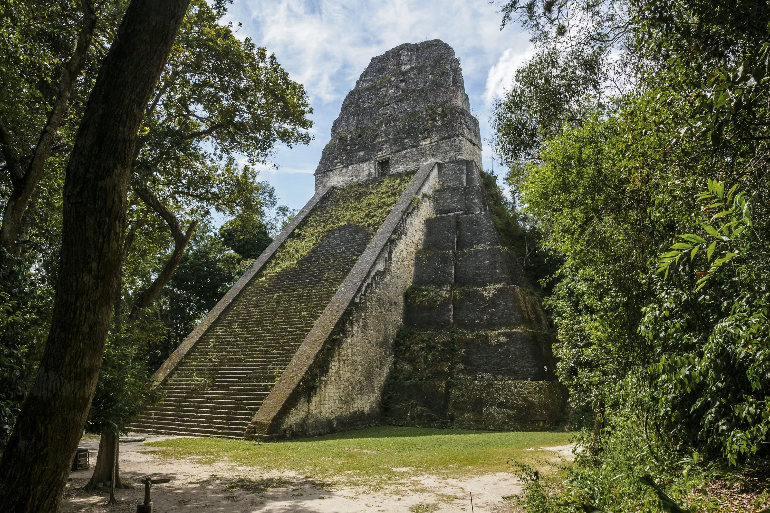Ancient Maya pyramid in a lush jungle, featuring steep stone steps and weathered surfaces. The scene is serene with shadows and dappled sunlight.