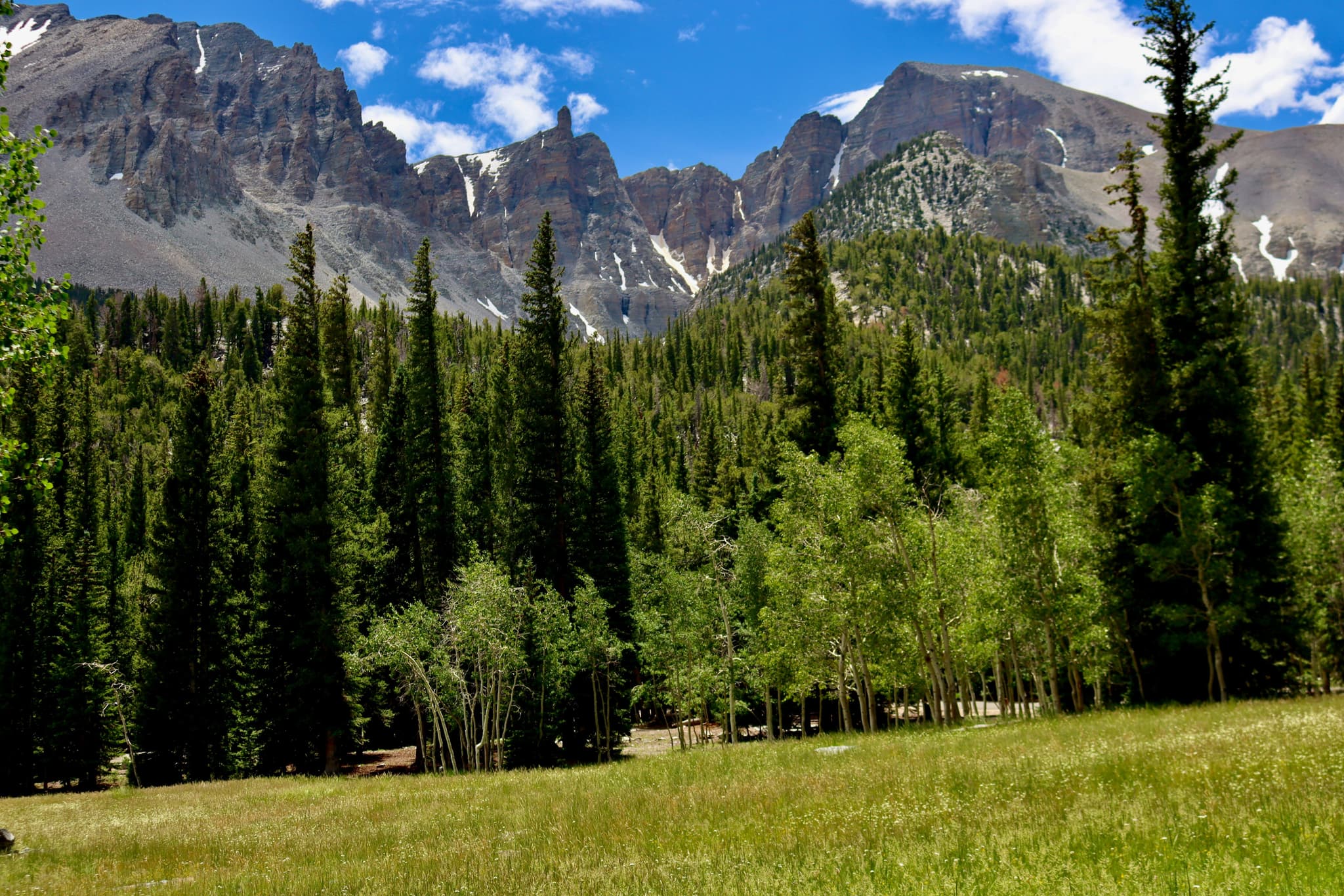 trees, grass and mountains in Peneda-Gerês National Park