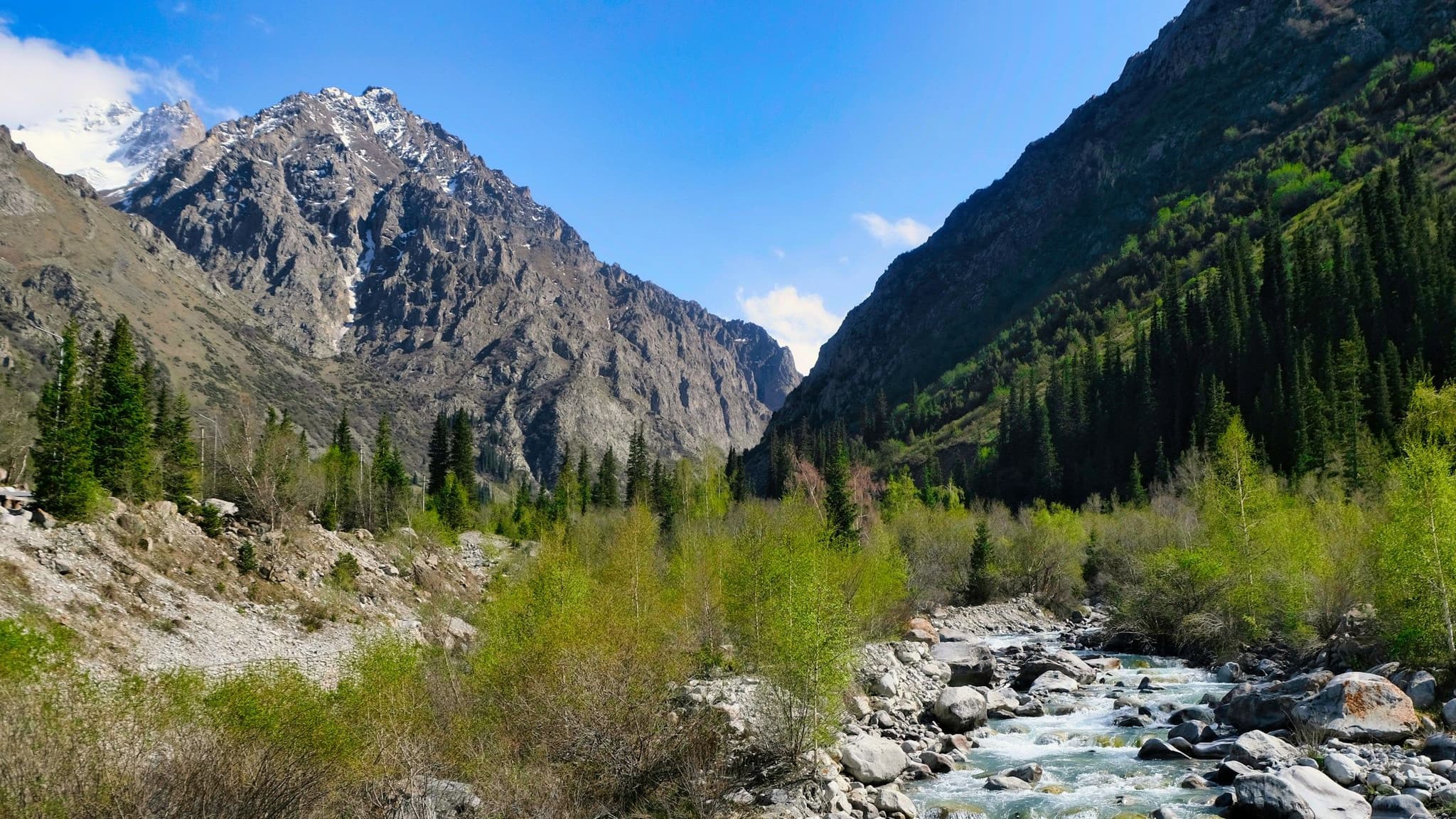A mountain river running through a green forested gorge