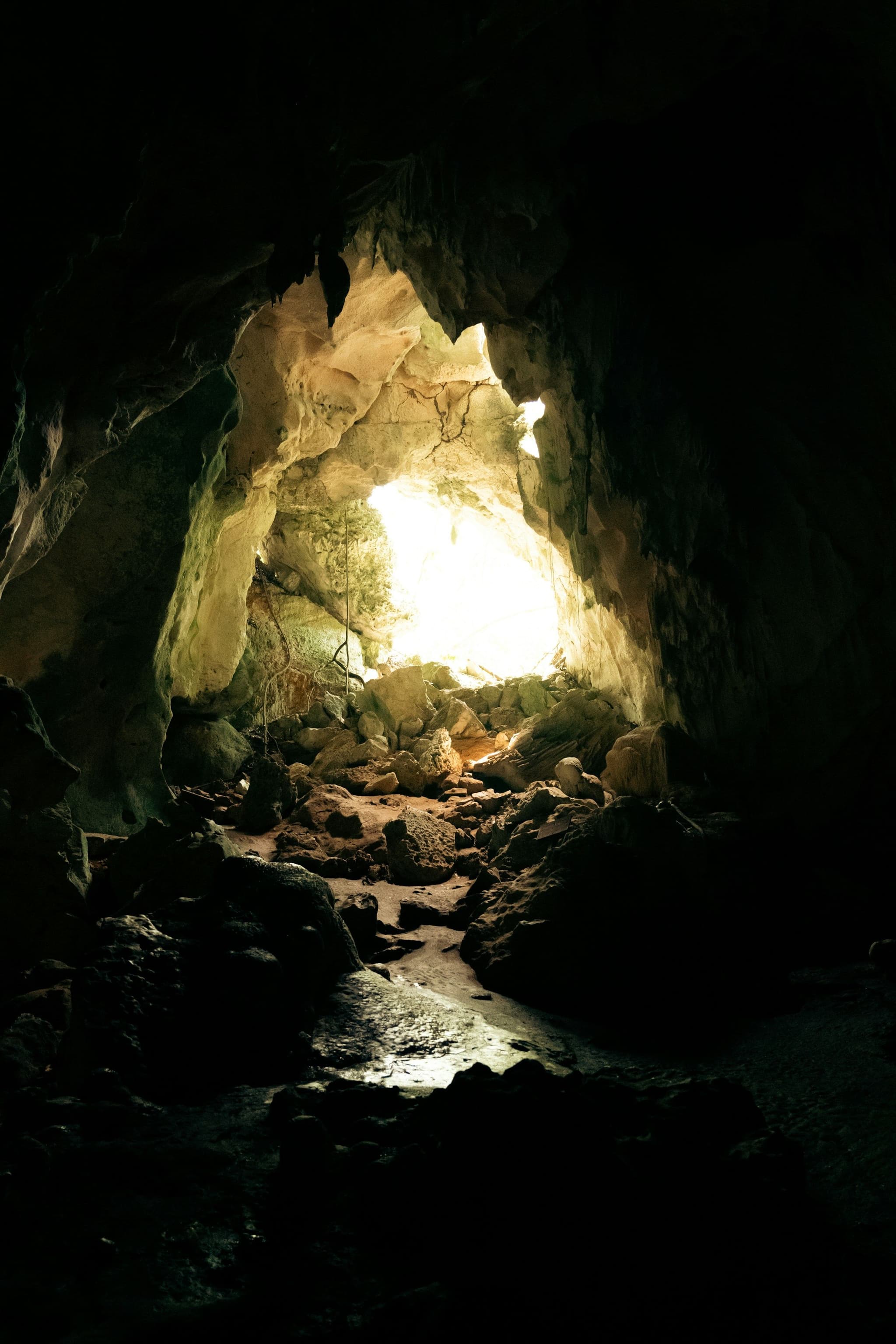 Light at the mouth of a cave in Los Haitises National Park