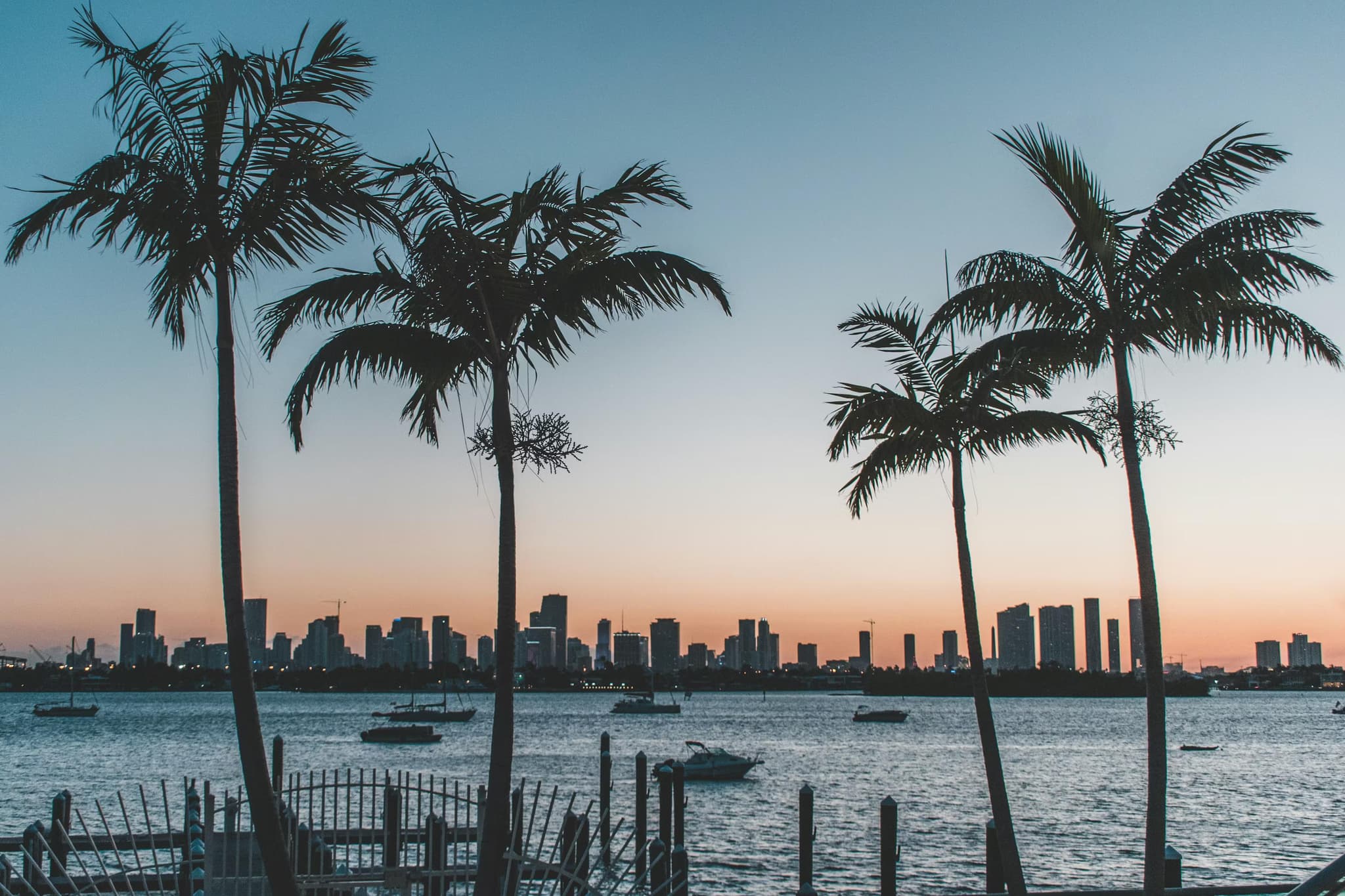 Sunset over rugged coastline with palmtrees. The sky is a gradient of blue and orange, evoking a serene mood.