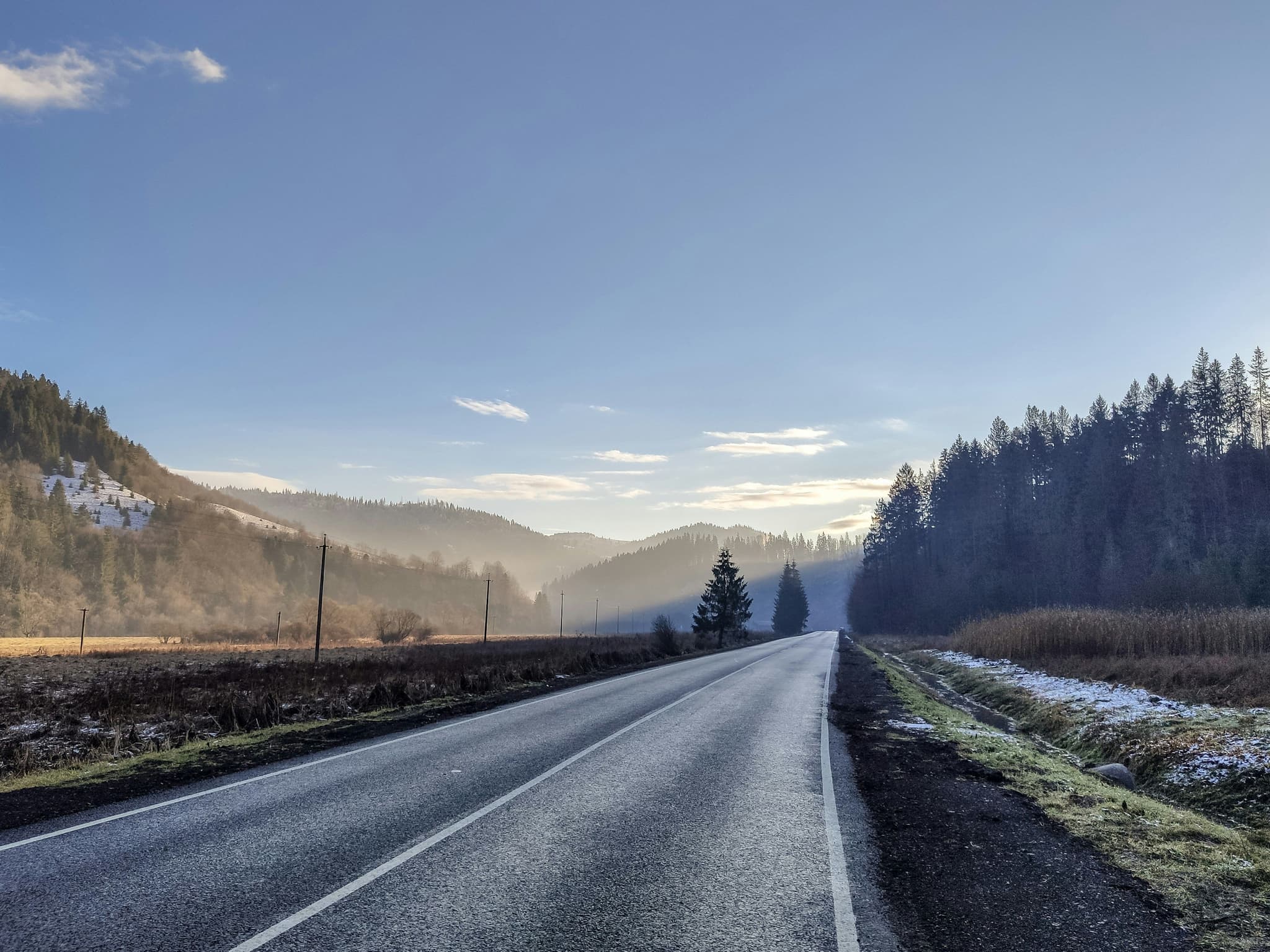 An empty road on a snowy day with clear weather and pine trees surrounding the road