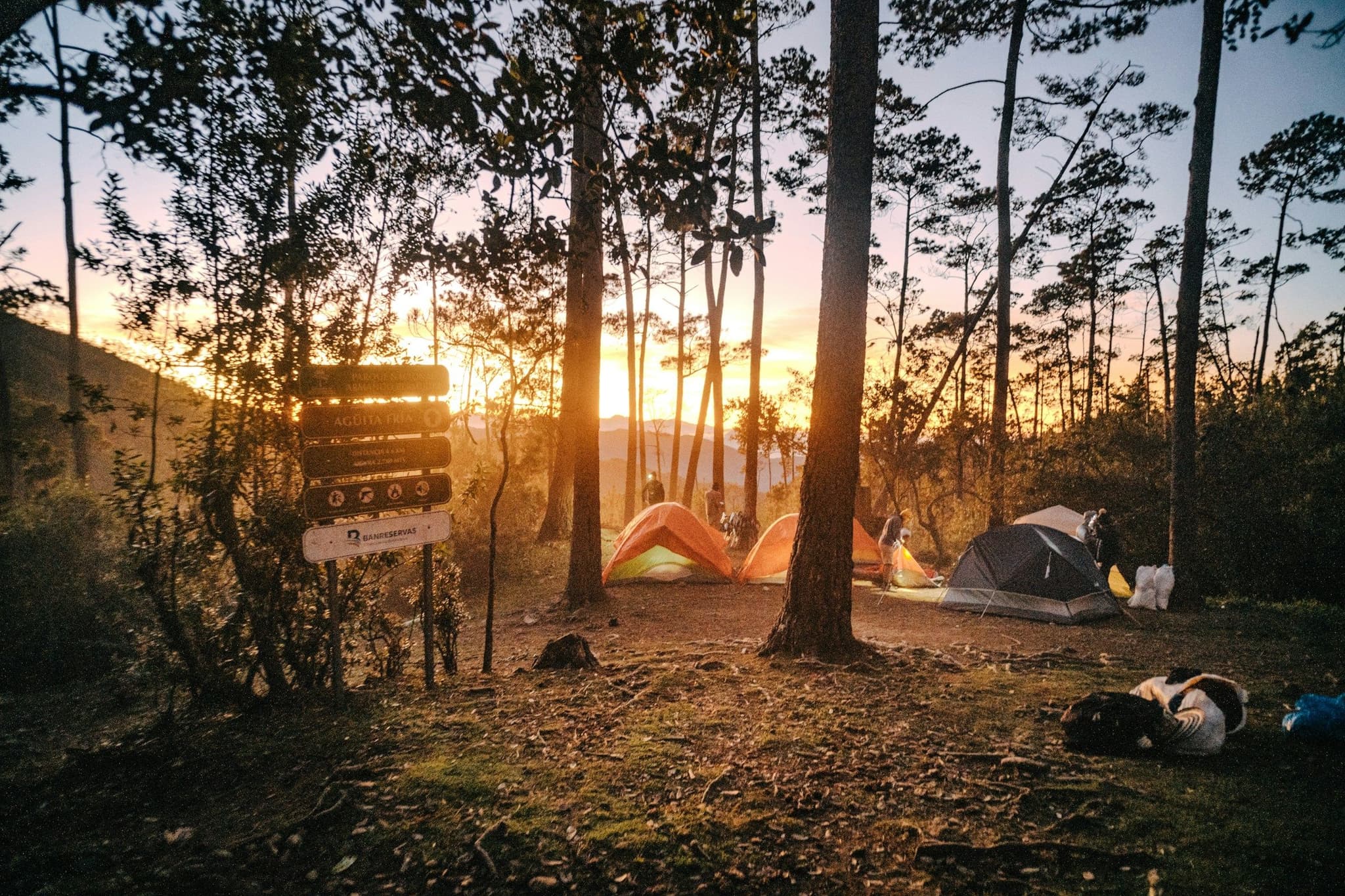 Tents pitched among trees at a mountain campsite in the Dominican Republic