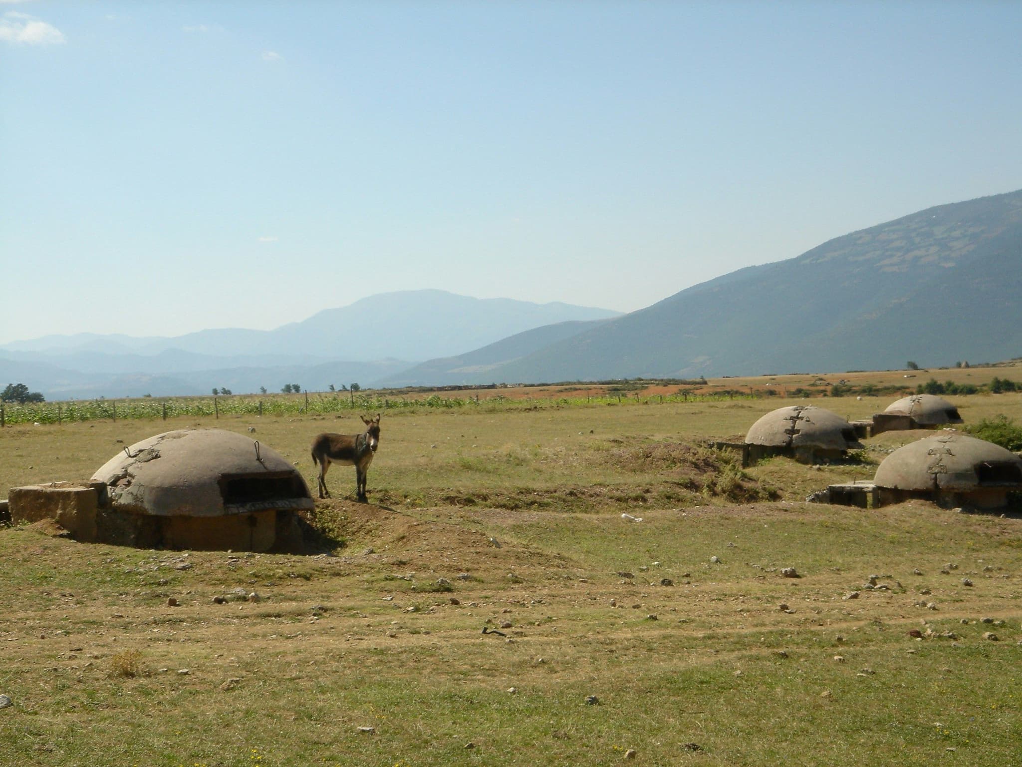 A small concrete bunker in a field in Albania