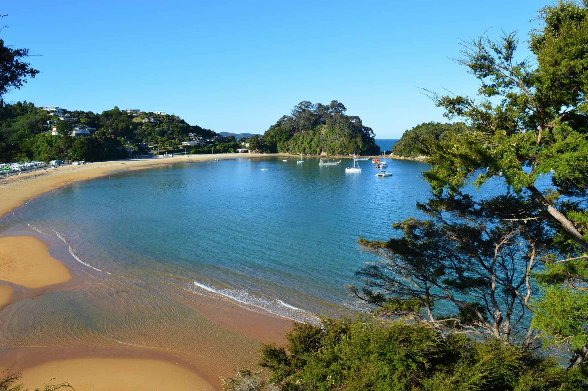 Kaiteriteri beach, orange sand and blue water, surrounded by trees