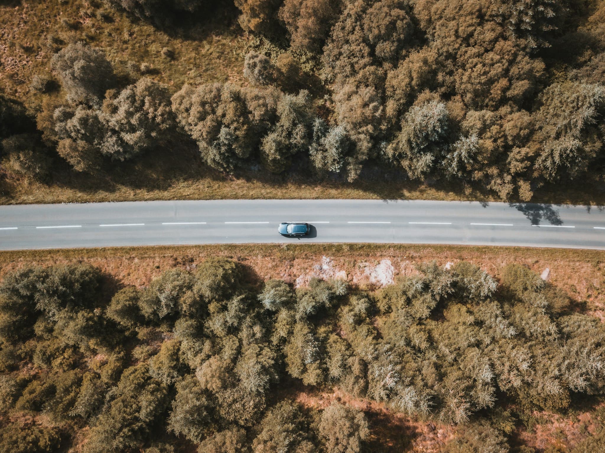 Aerial view of a road surrounded by green trees