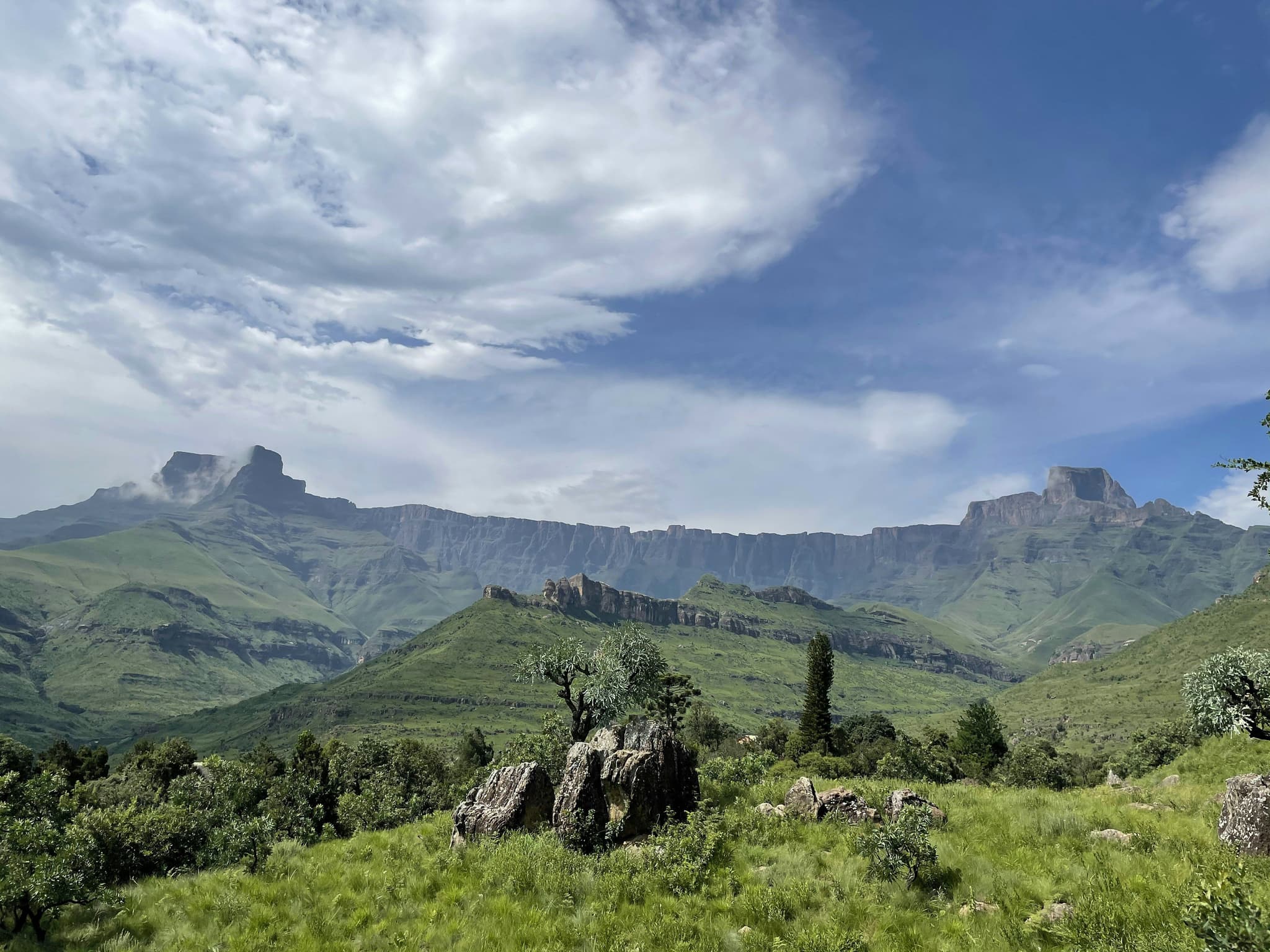 Mountains and green grass in Drakensberg