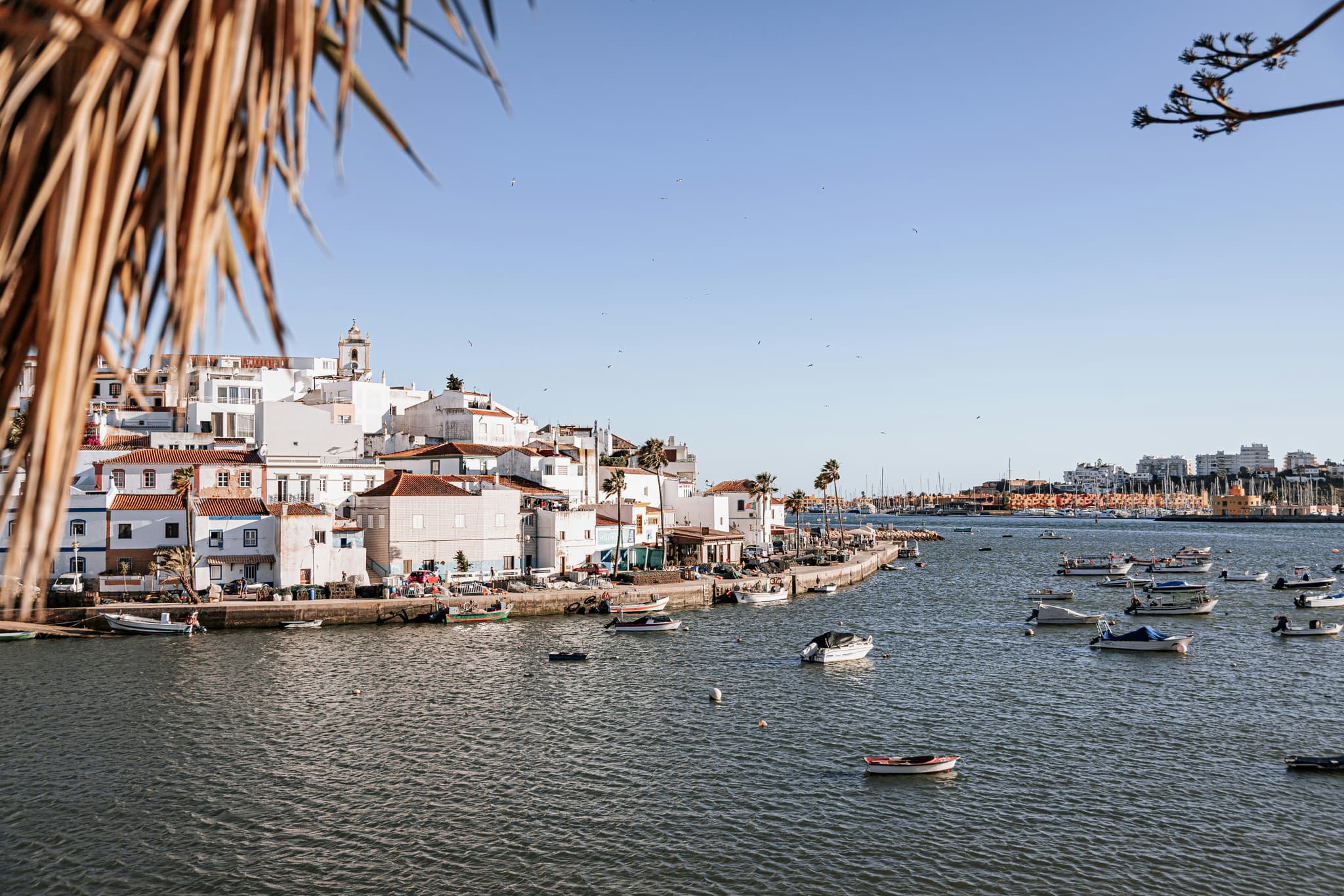 boats in the water and houses in Ferragudo