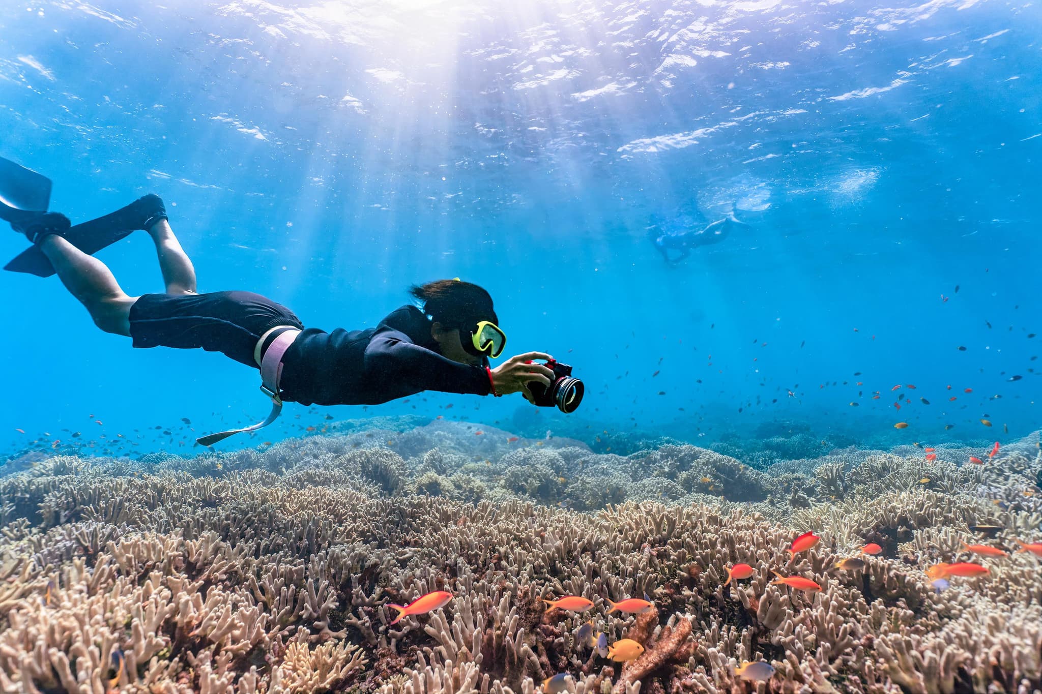 Professional diver in the ocean of japan on a clear day