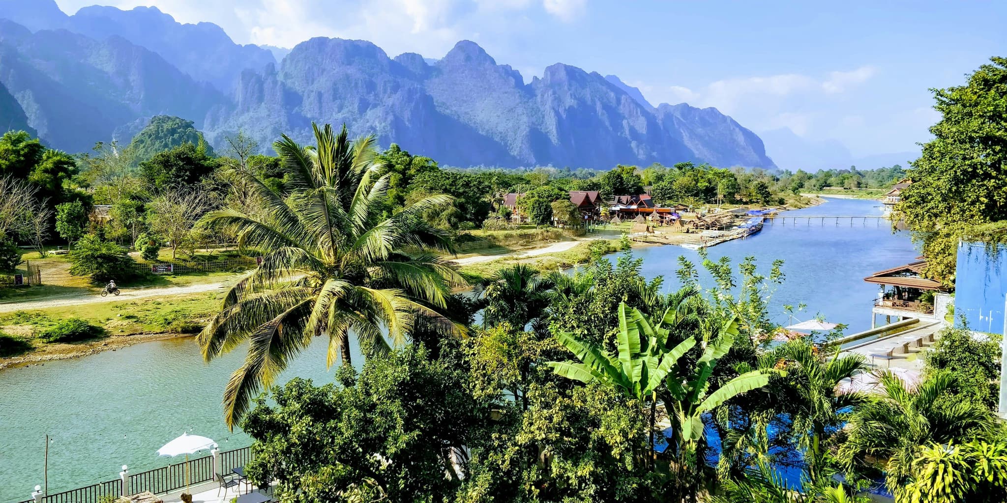 palm trees on the river in Vang Vieng