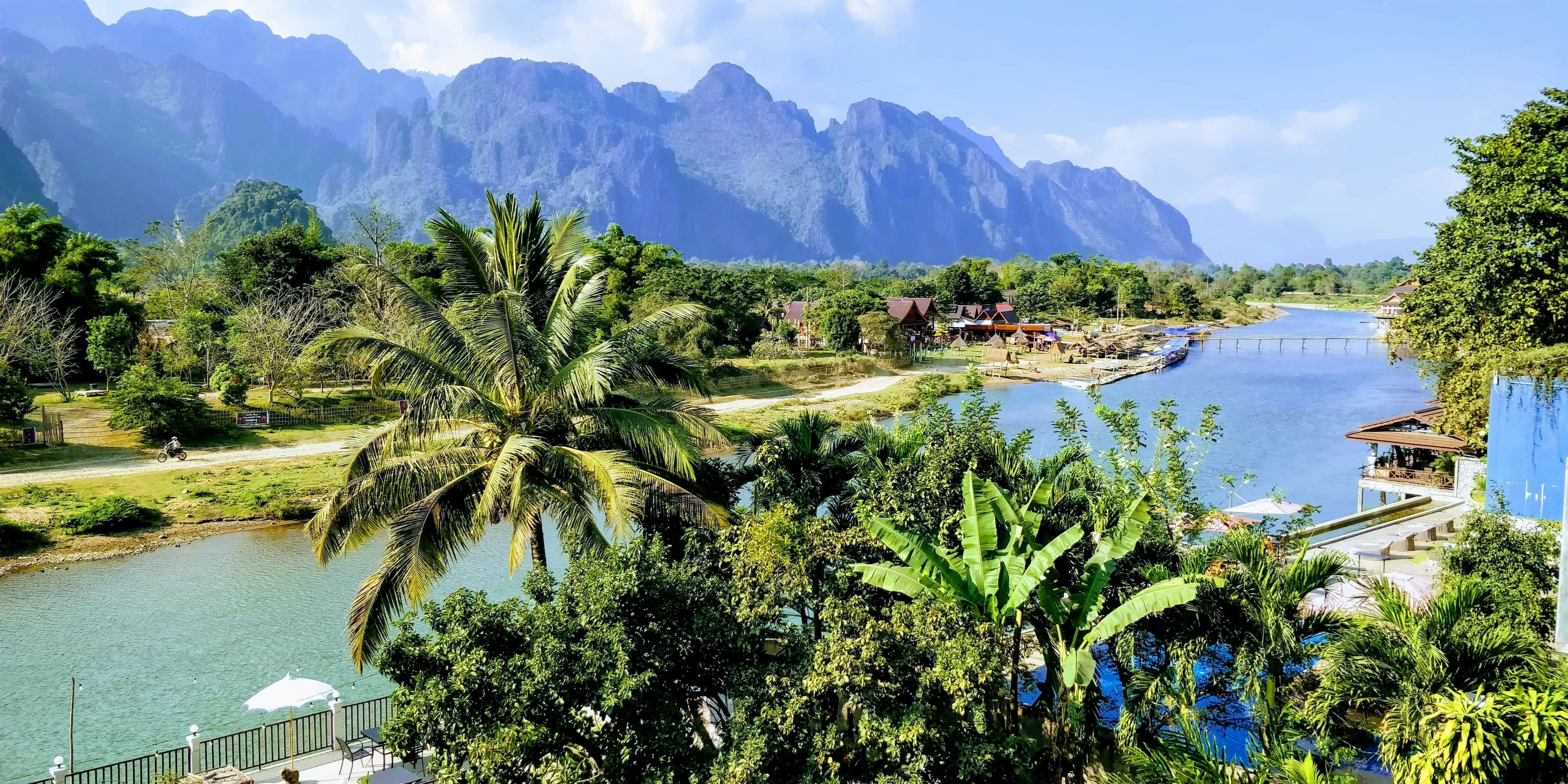 palm trees on the river in Vang Vieng