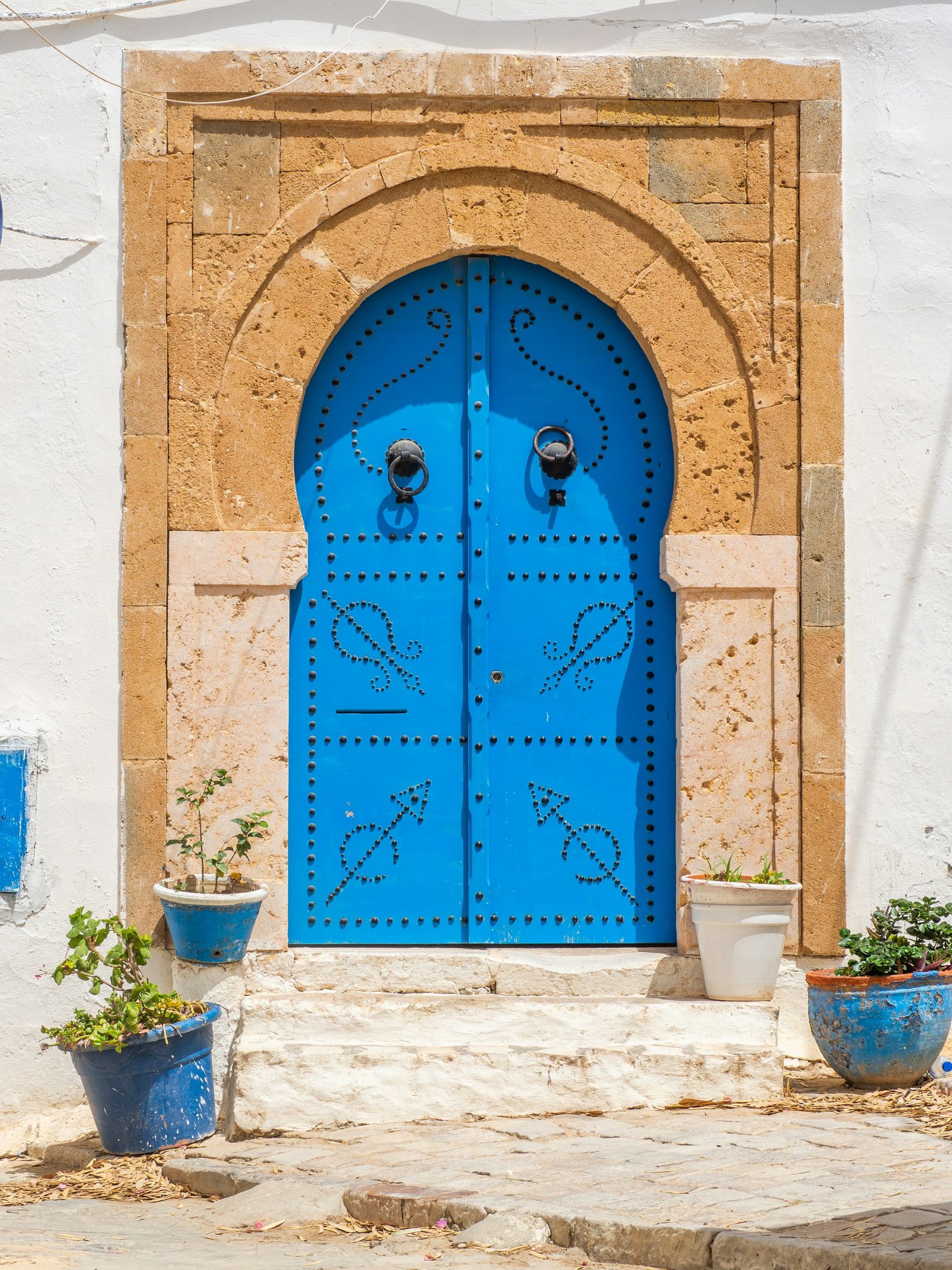 A blue studded door with potted plants in Sidi Bou Said