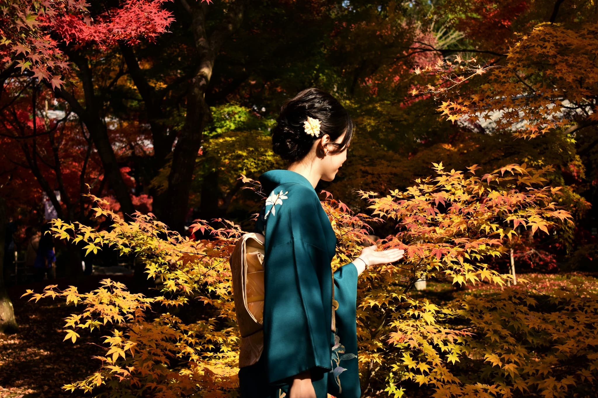 A japanese girl touching autumn leaves outside