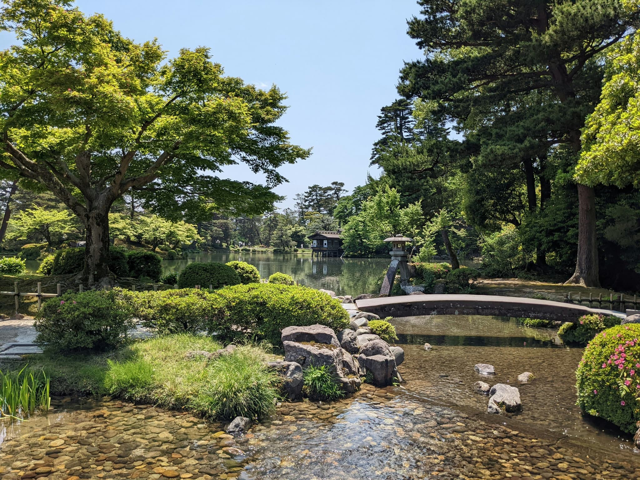 Beautiful japanese garden with green trees and a stone bridge
