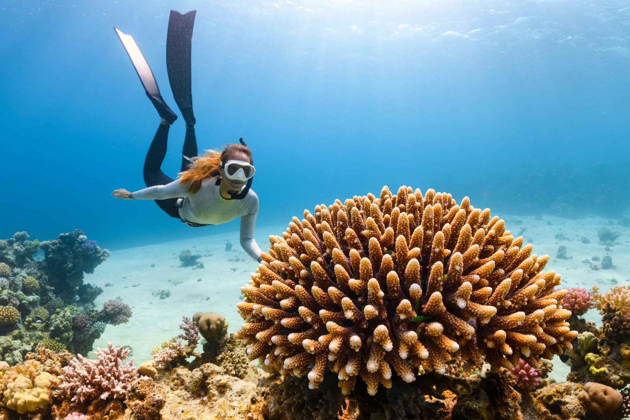 A female diver in the water with coral reef