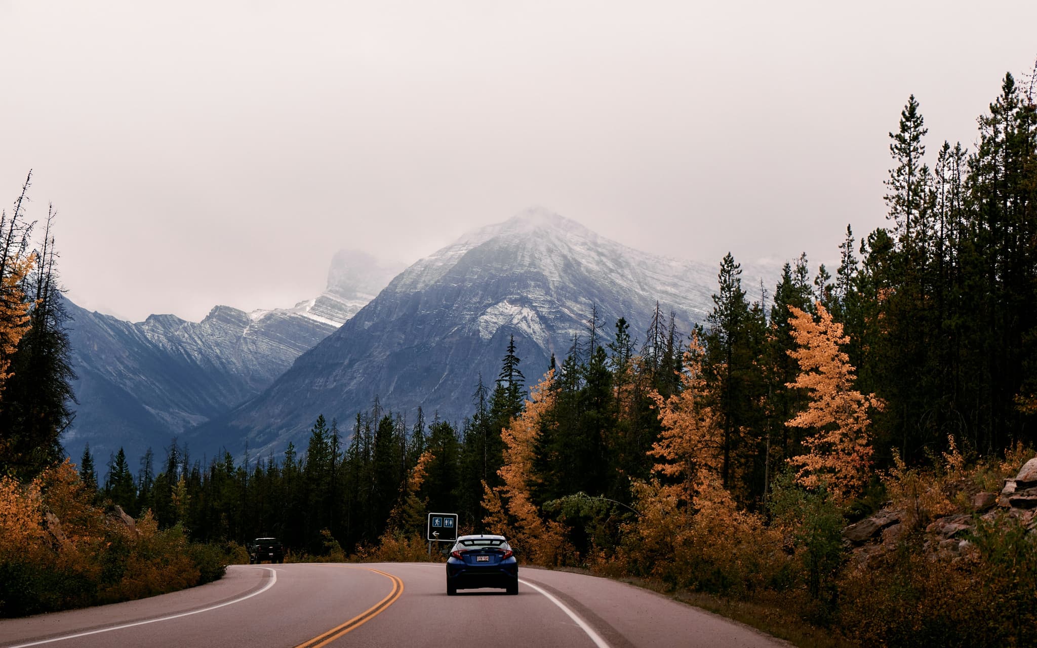 Car driving the Icefields Parkway road surrounded by snowy mountains and dark trees
