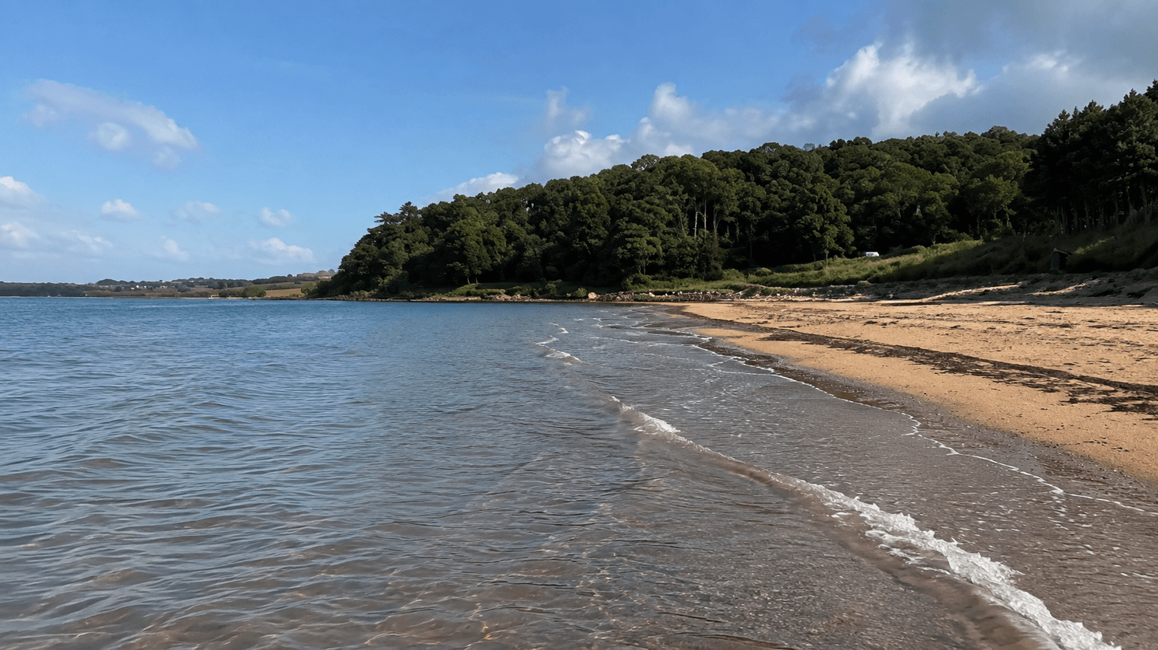 sea with small waves and beach and green trees