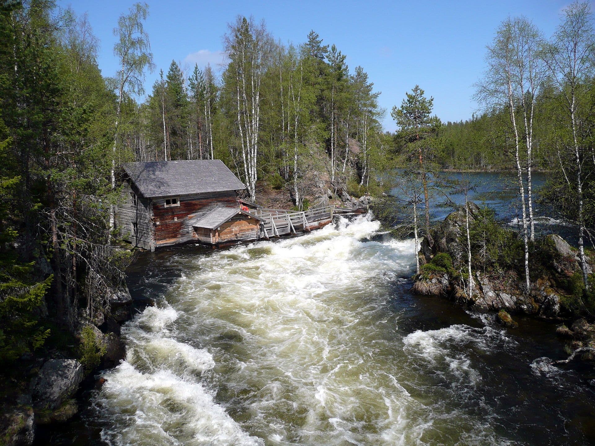 Wild river with white foam from above in a forest with pine trees and a cottage house