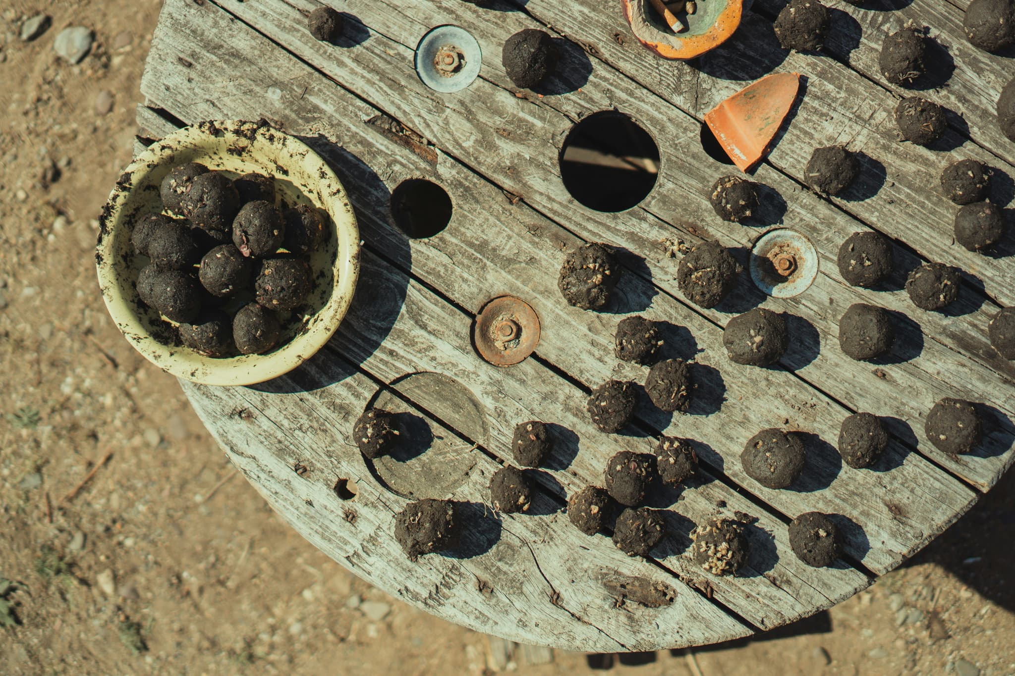 Truffles on a wooden circular plate from above