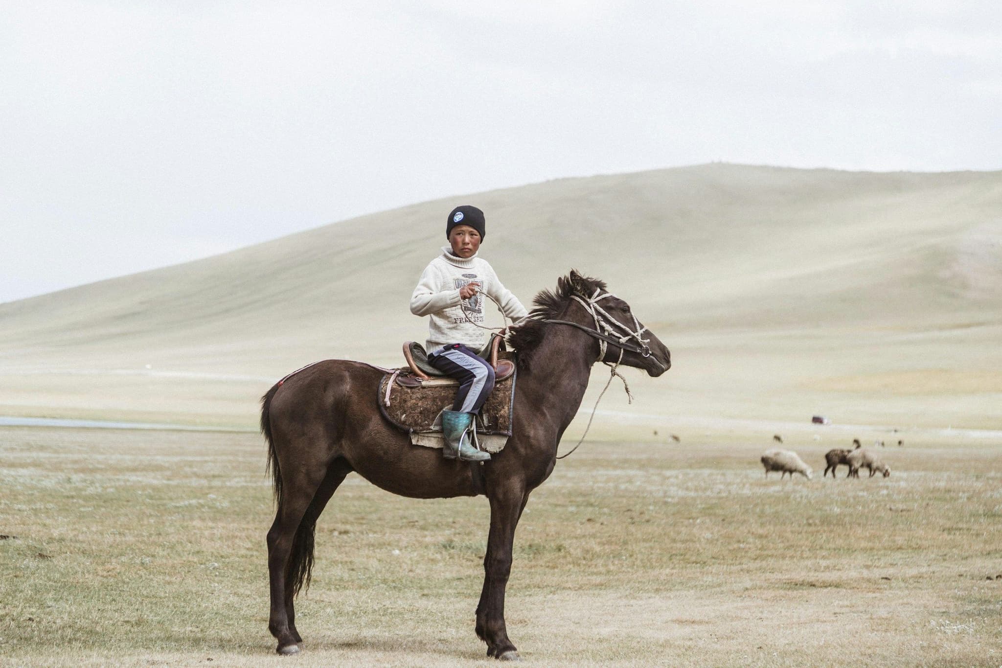 A young rider on a horse on an open pasture