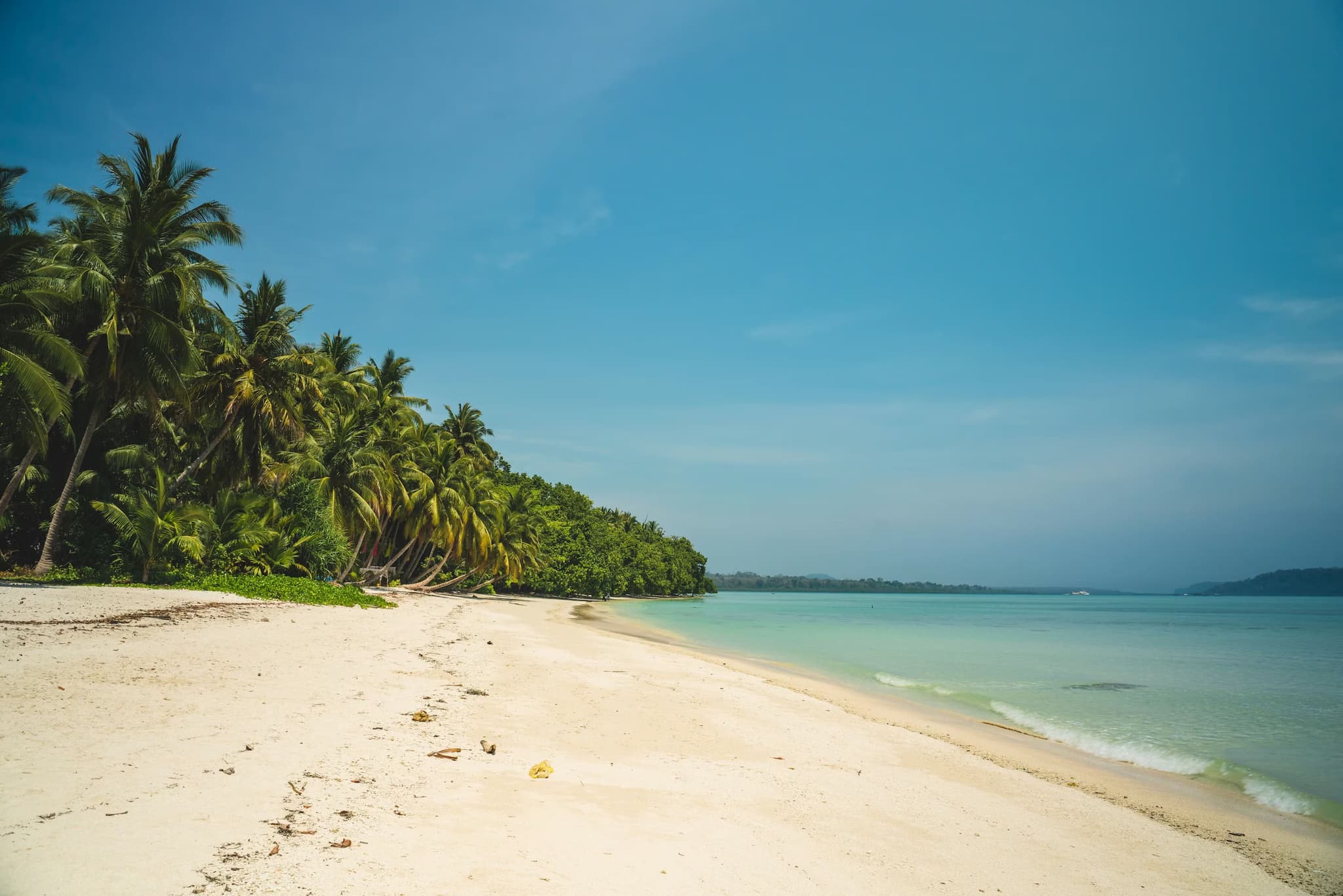 Tropical beach scene with white sand, calm turquoise water, and lush green palm trees under a clear blue sky. The setting exudes tranquility.