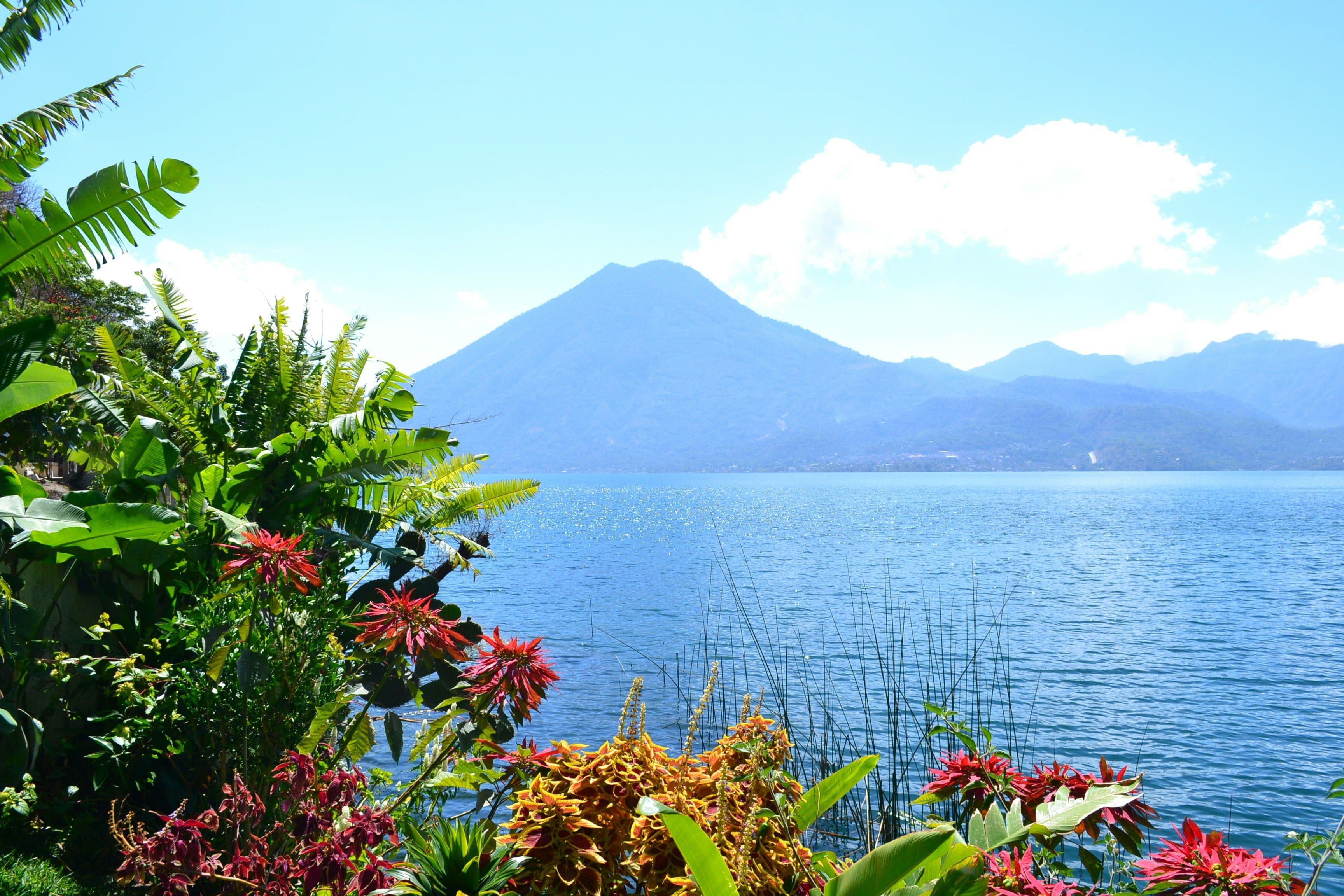 View of Lake Atitlán with a volcano in the background, framed by colourful flowers and tropical plants in the foreground.