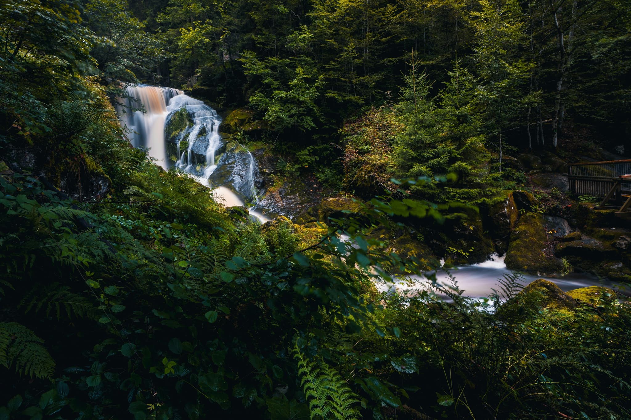 Triberg waterfall surrounded by green vegetation