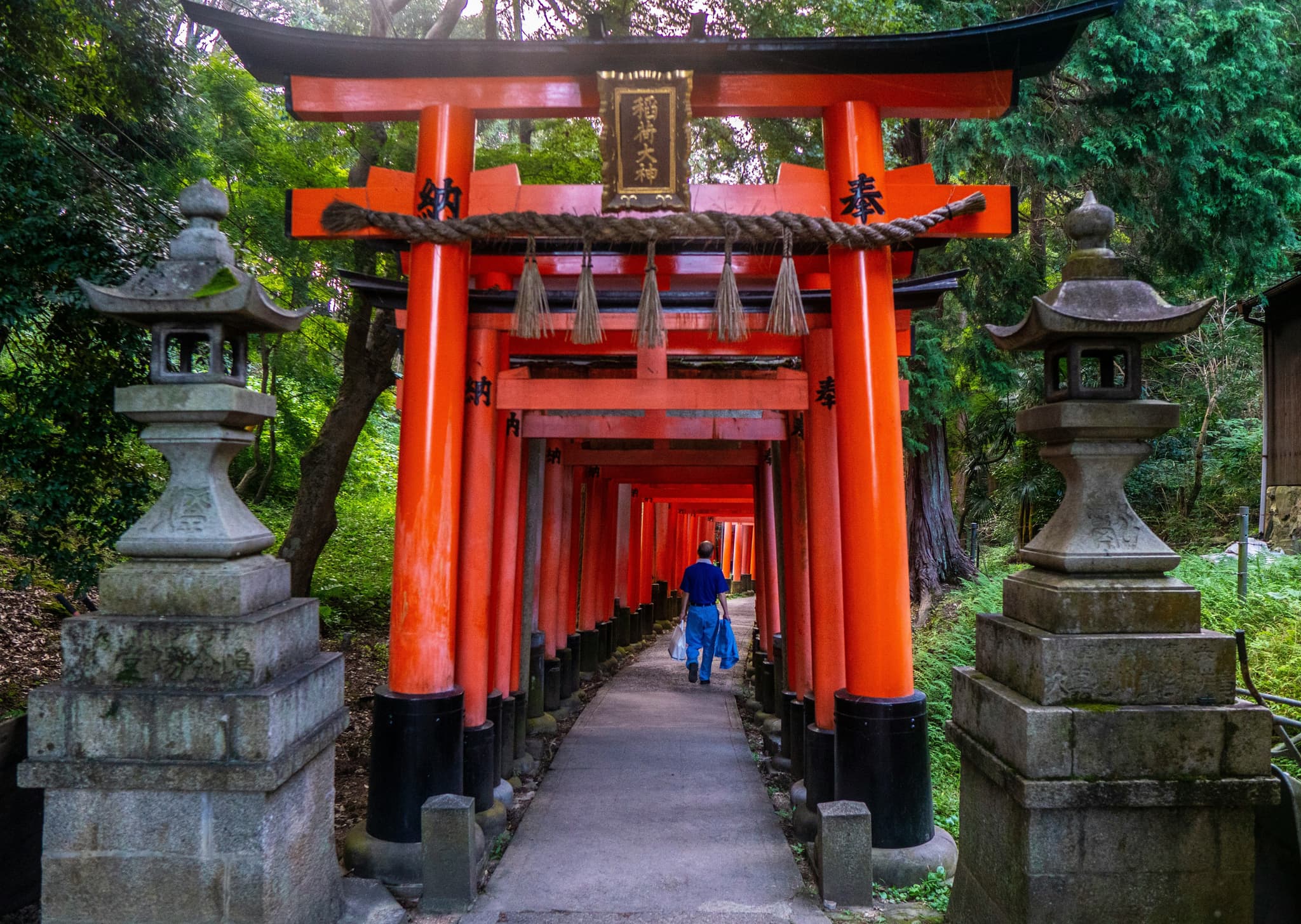 Red torii gates lining the path up Fushimi Inari Shrine in Kyoto