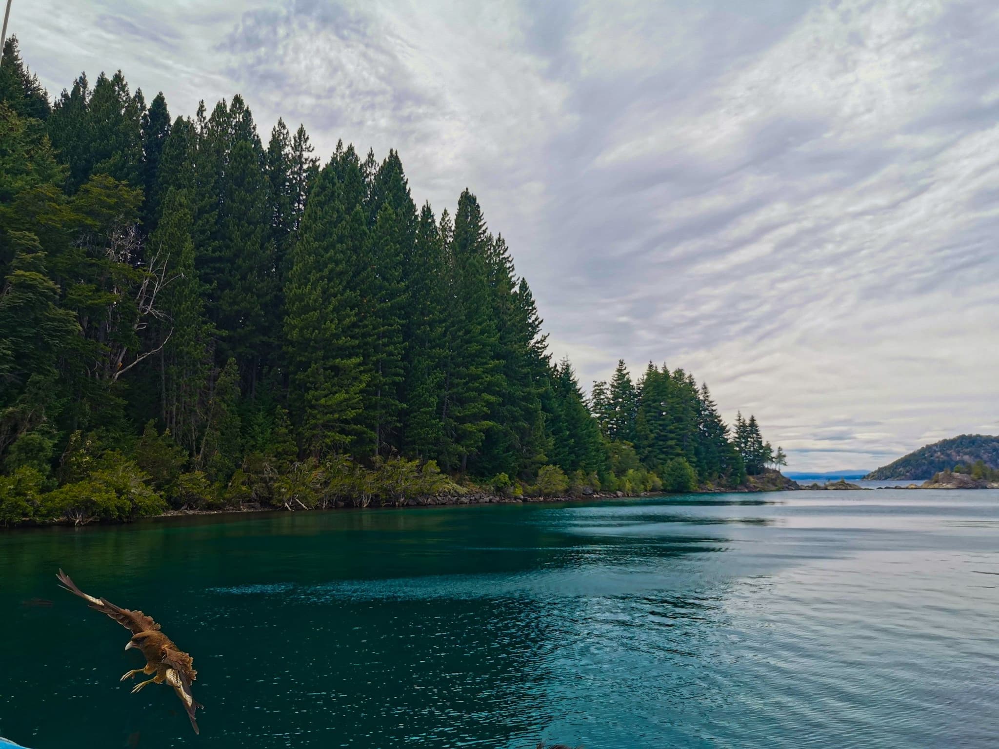 Small wooded islands on Lago Nahuel Huapi