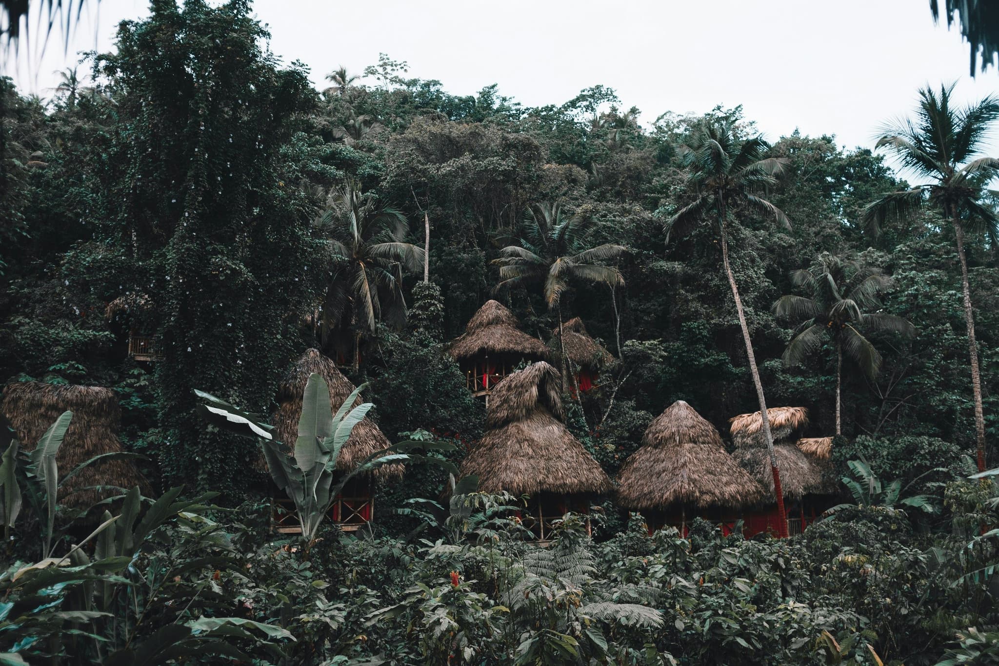 Eco-tourism retreat in jungle