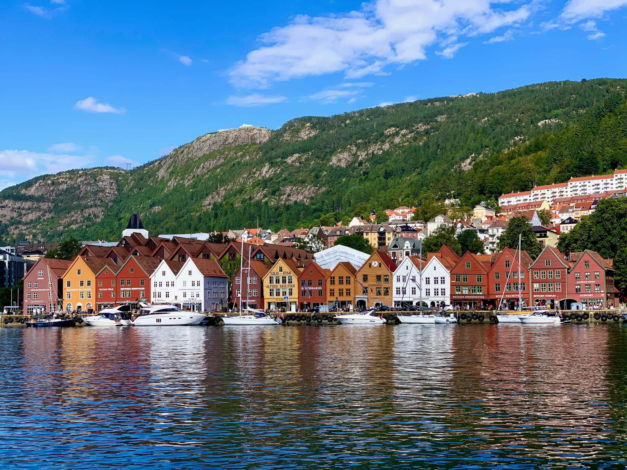 Orange and red houses along the water in Bergen