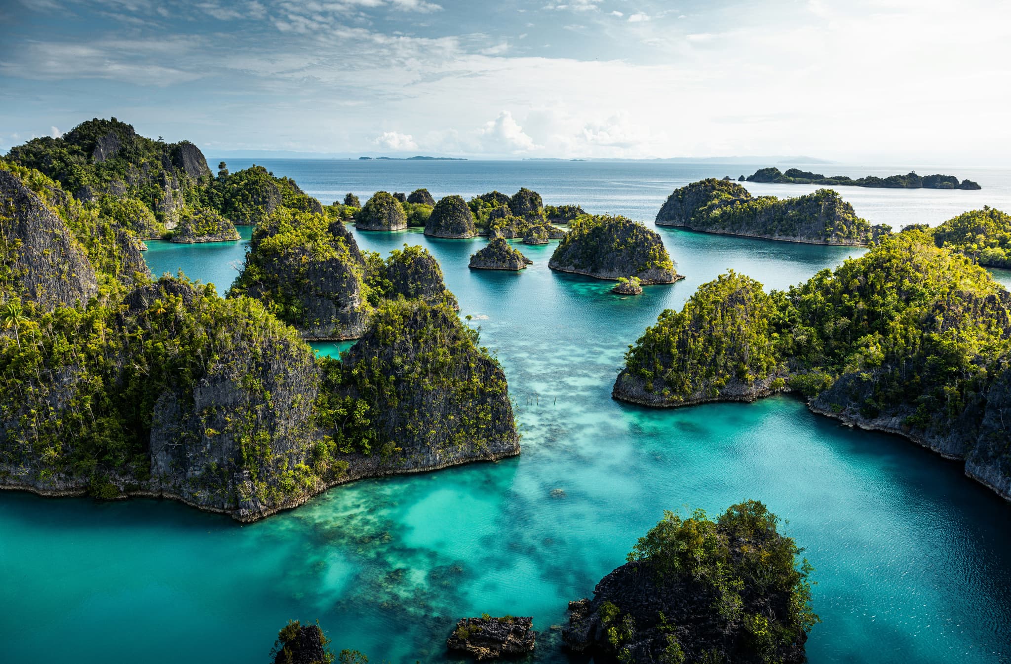 Bays of Raja Ampat with turqoise water and islands with green trees