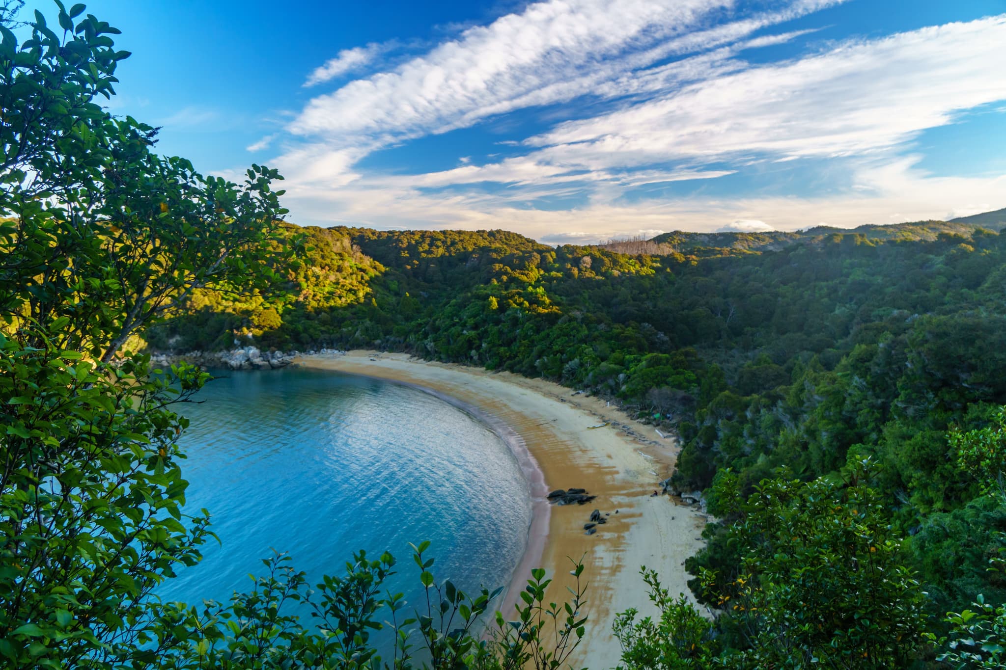 Aerial view of beach, forest and sea in Abel Tasman National Park