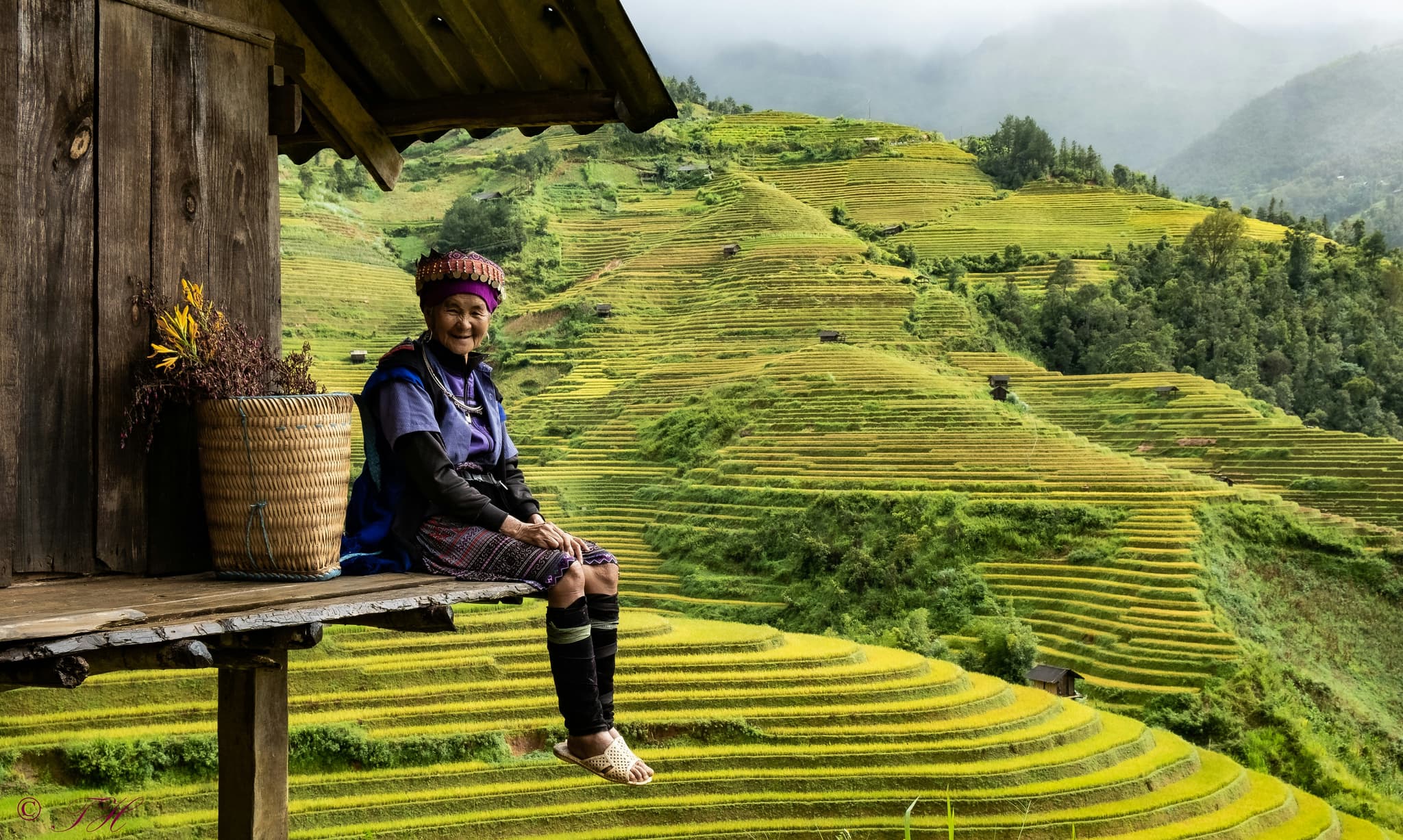 Vietnamese woman sitting on a varanda overlooking green rice fields