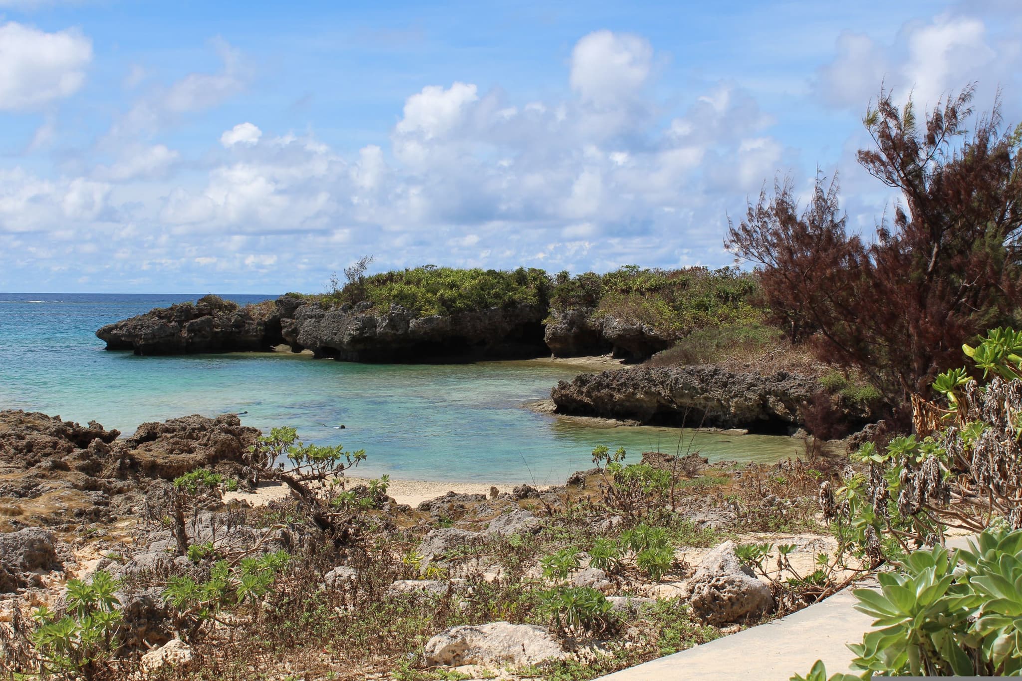 Coastal landscape in Okinawa with blue water and rocks with vegetation