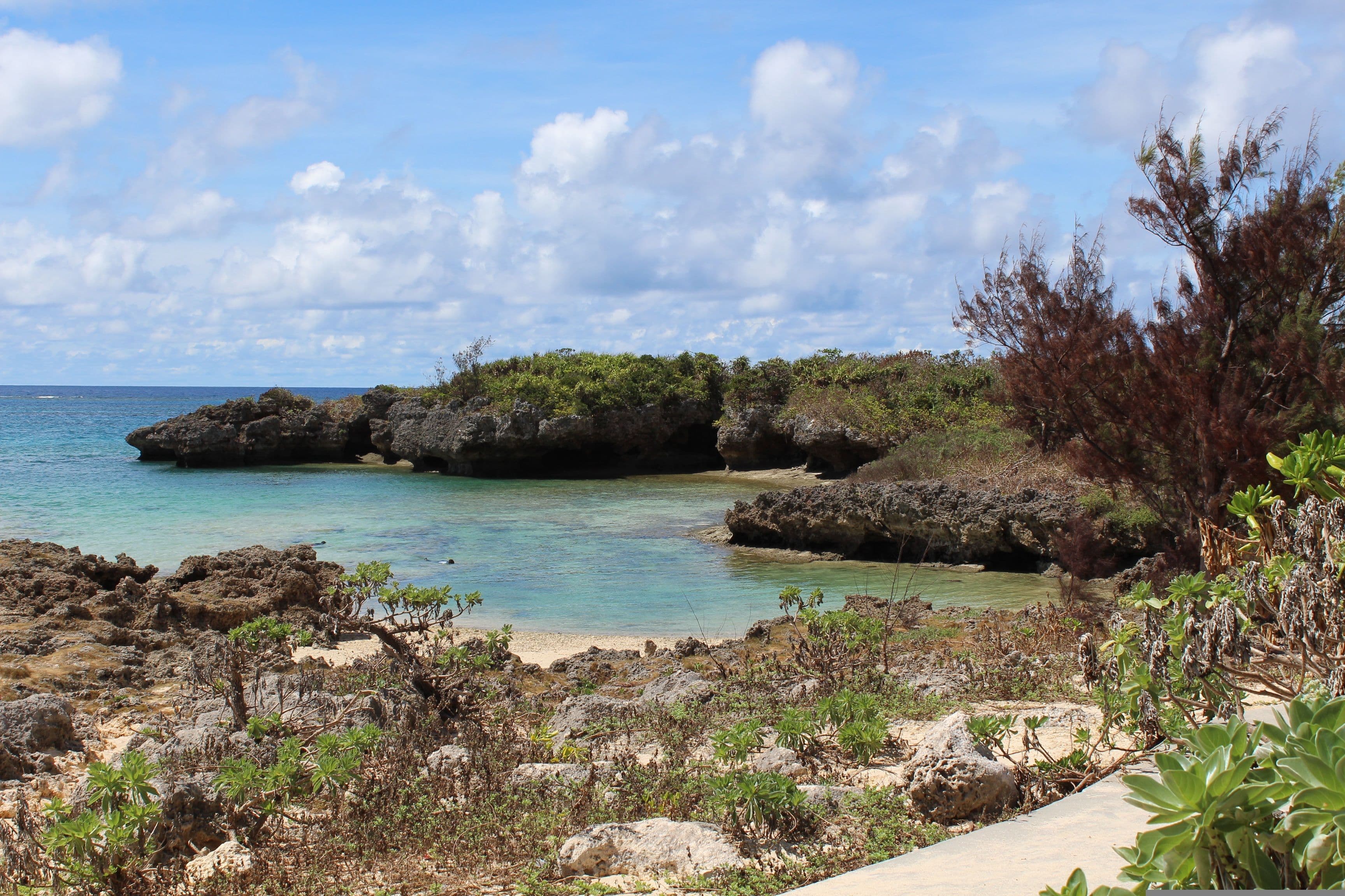 Coastal landscape in Okinawa with blue water and rocks with vegetation
