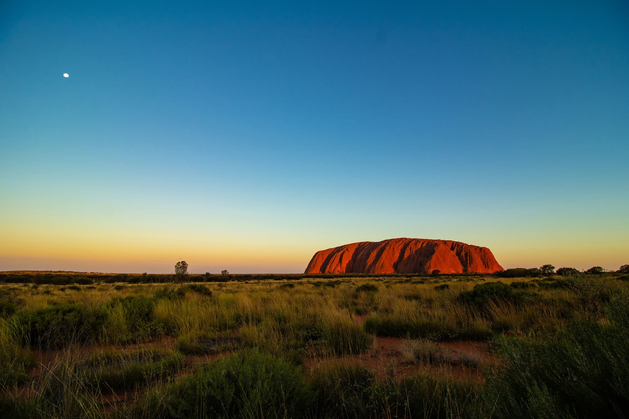 A wide grass field and the sunset over Uluru mountain