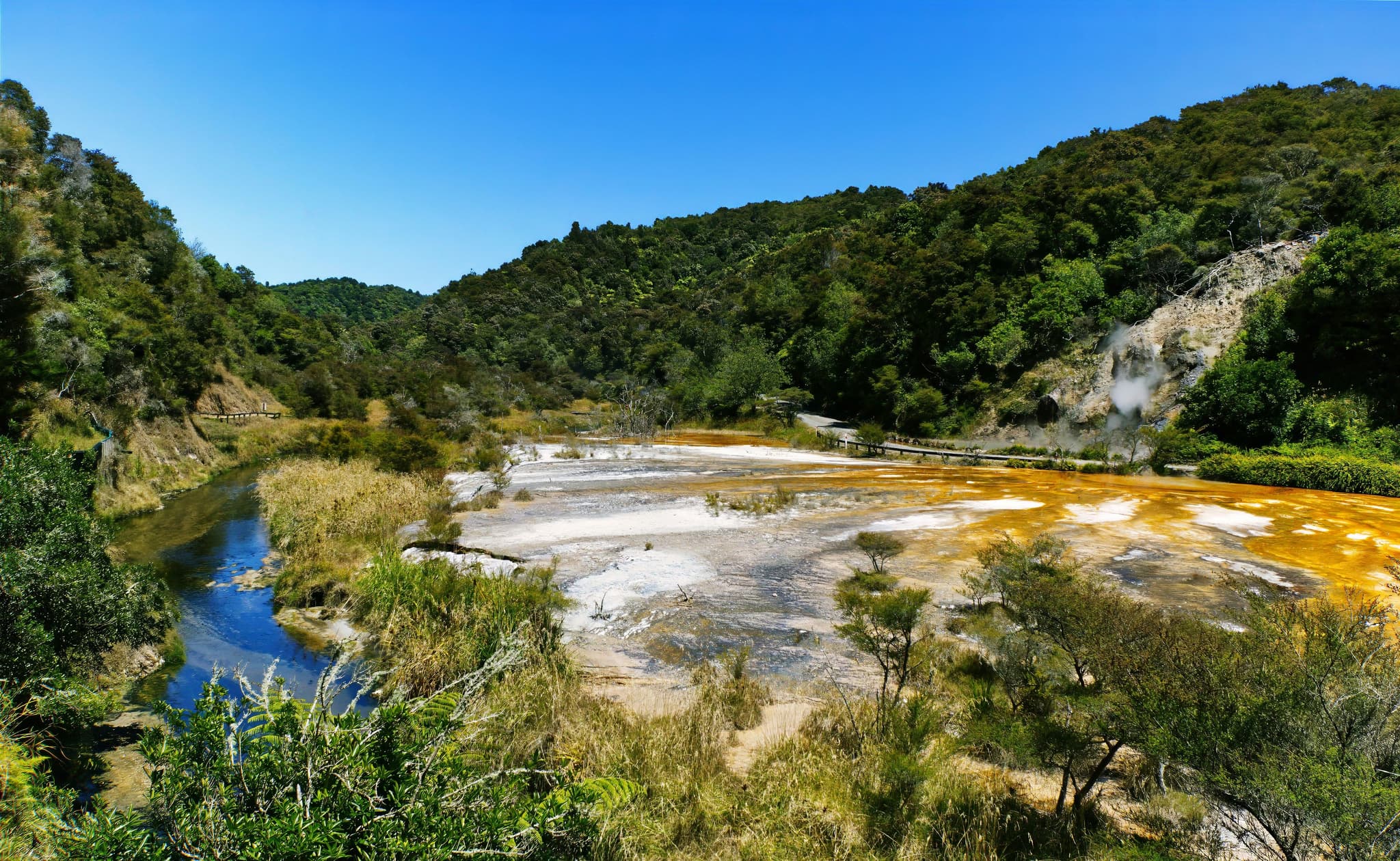 volcanic landscape and green trees and mountains in Rotorua