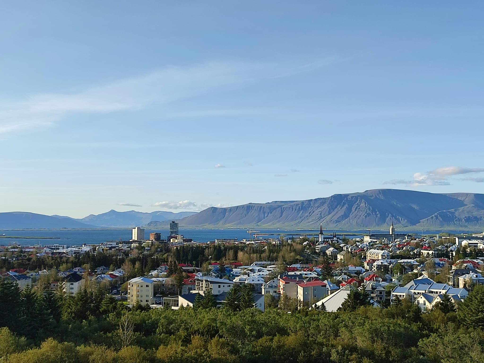 Reykjavik from above: mountains, trees and sky