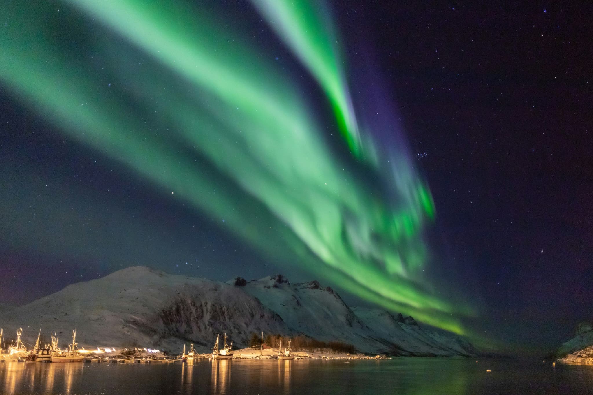 green northern lights in Tromsø on a dark evening