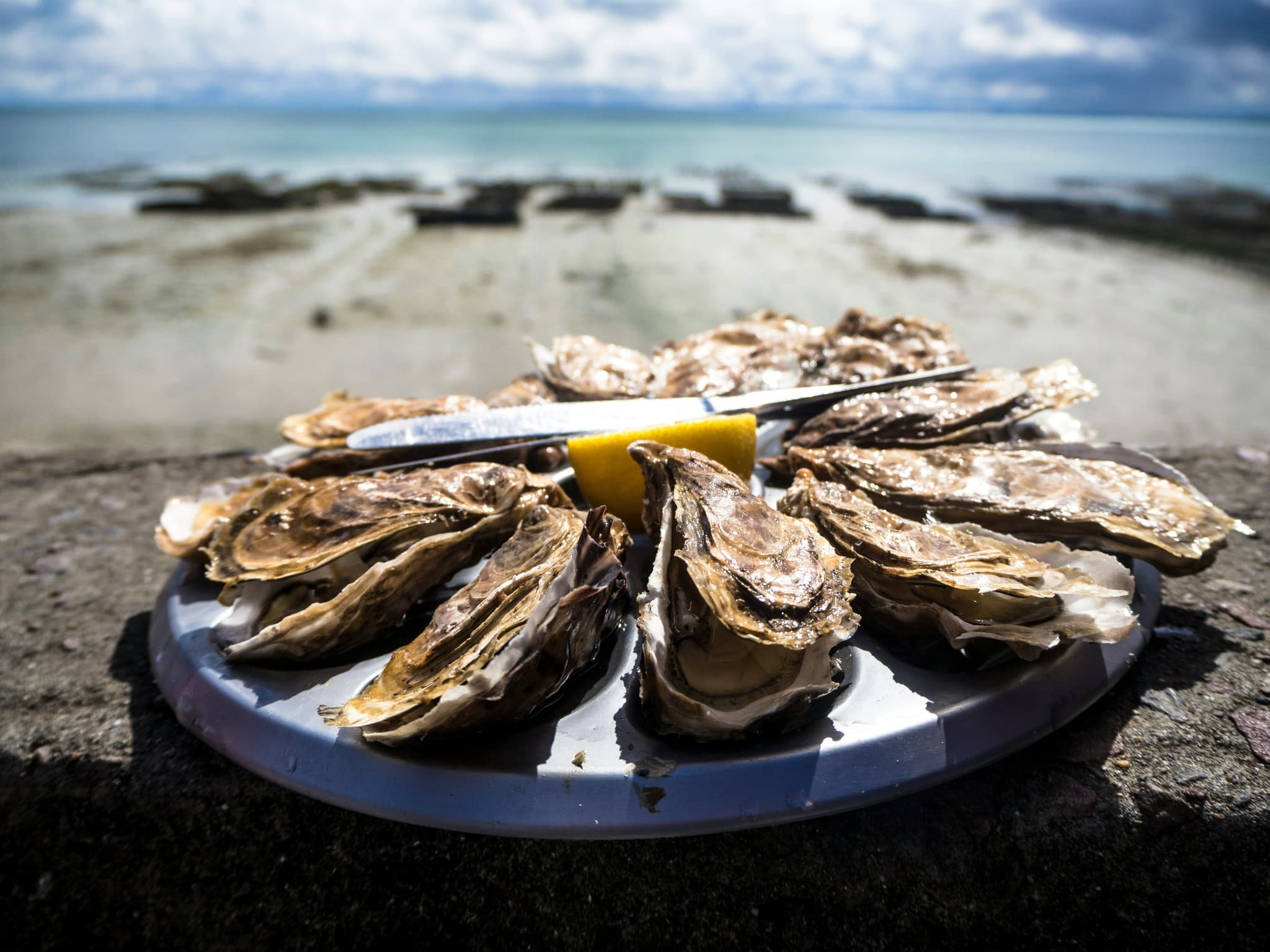 Mussles on a plate overlooking the beach and sea