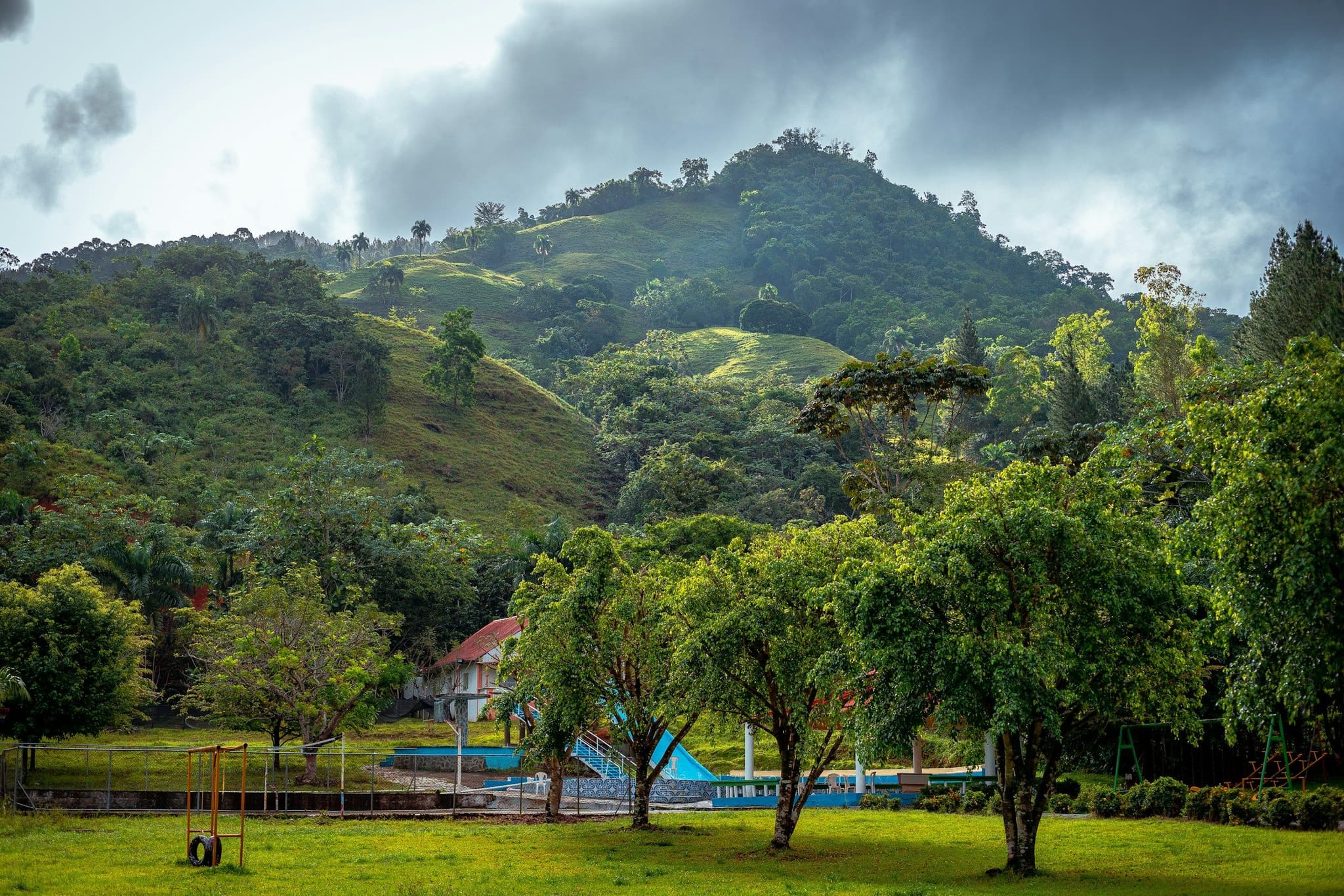 Dense green forest on a hillside in the Dominican highlands