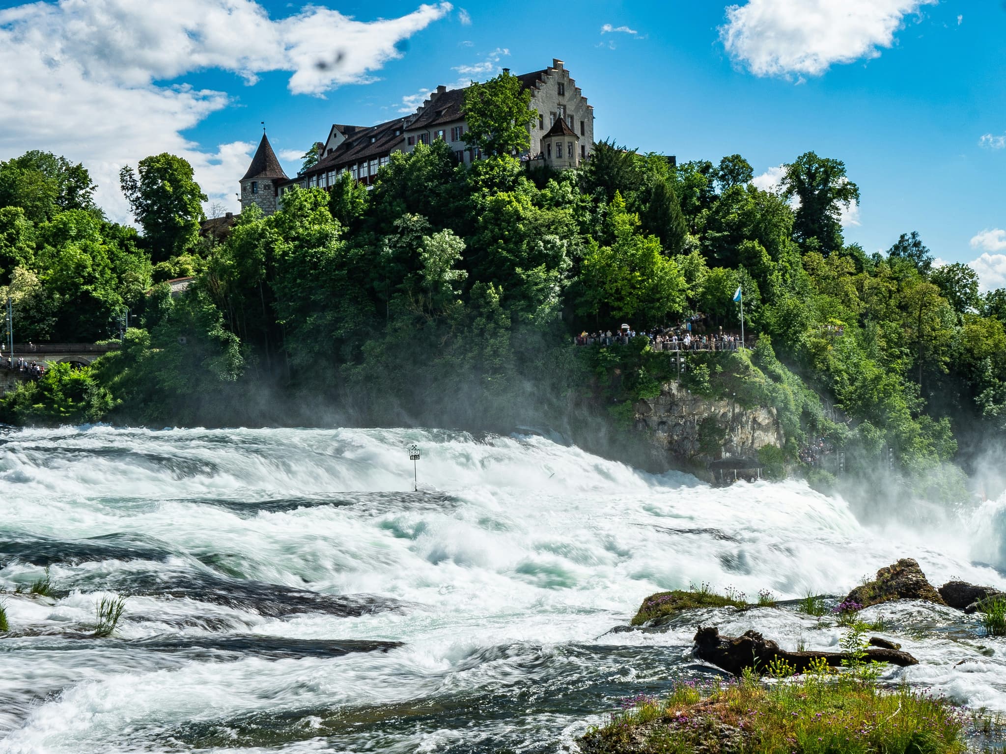 Rhine Falls cascading over rocks near Schaffhausen